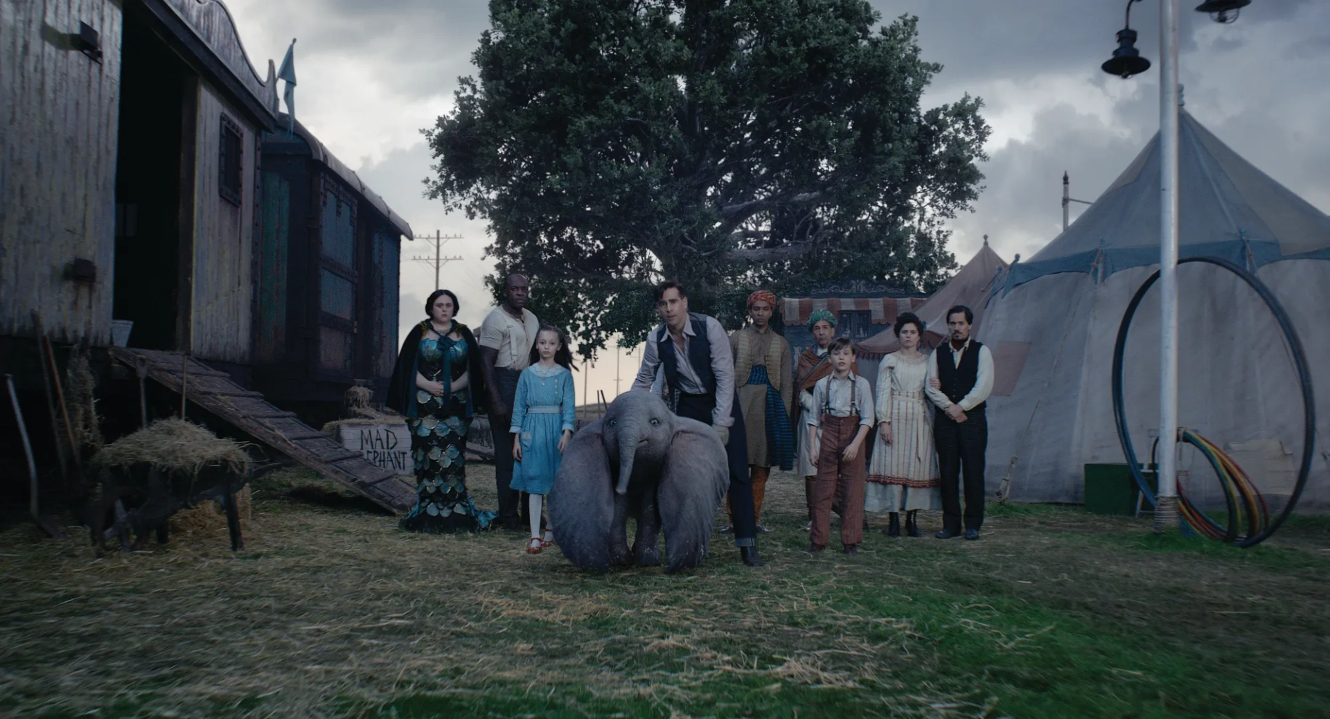 Colin Farrell, Deobia Oparei, Roshan Seth, Sharon Rooney, Ragevan Vasan, Finley Hobbins, Nico Parker, Miguel Muñoz Segura, Zenaida Alcalde, and in Dumbo (2019)