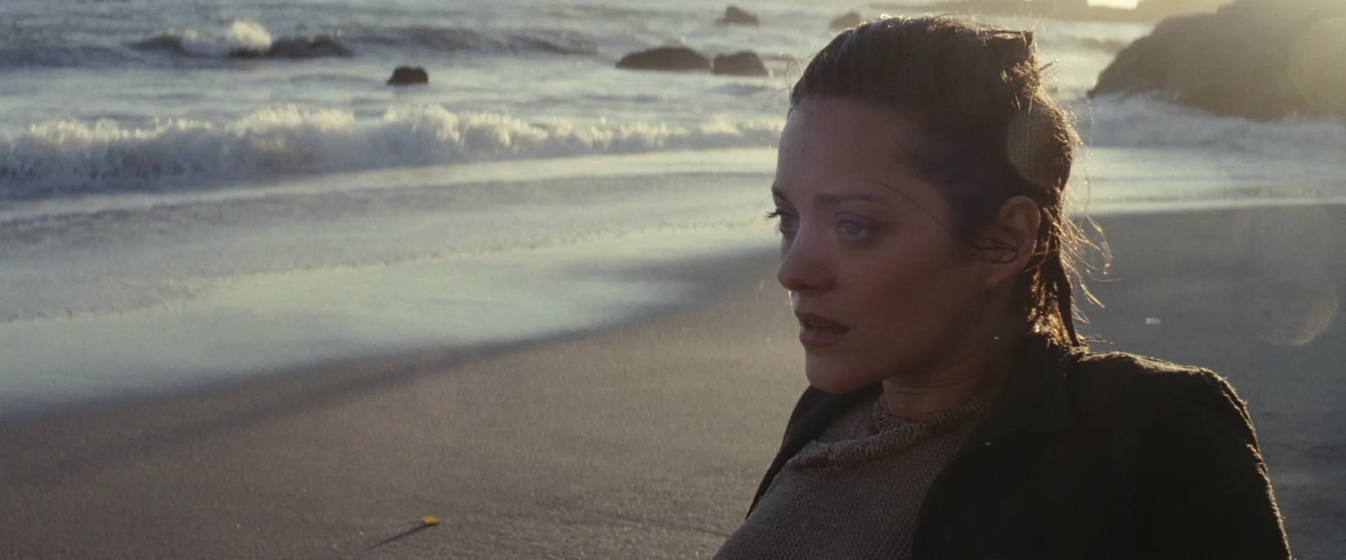 Marion Cotillard in Inception (2010)