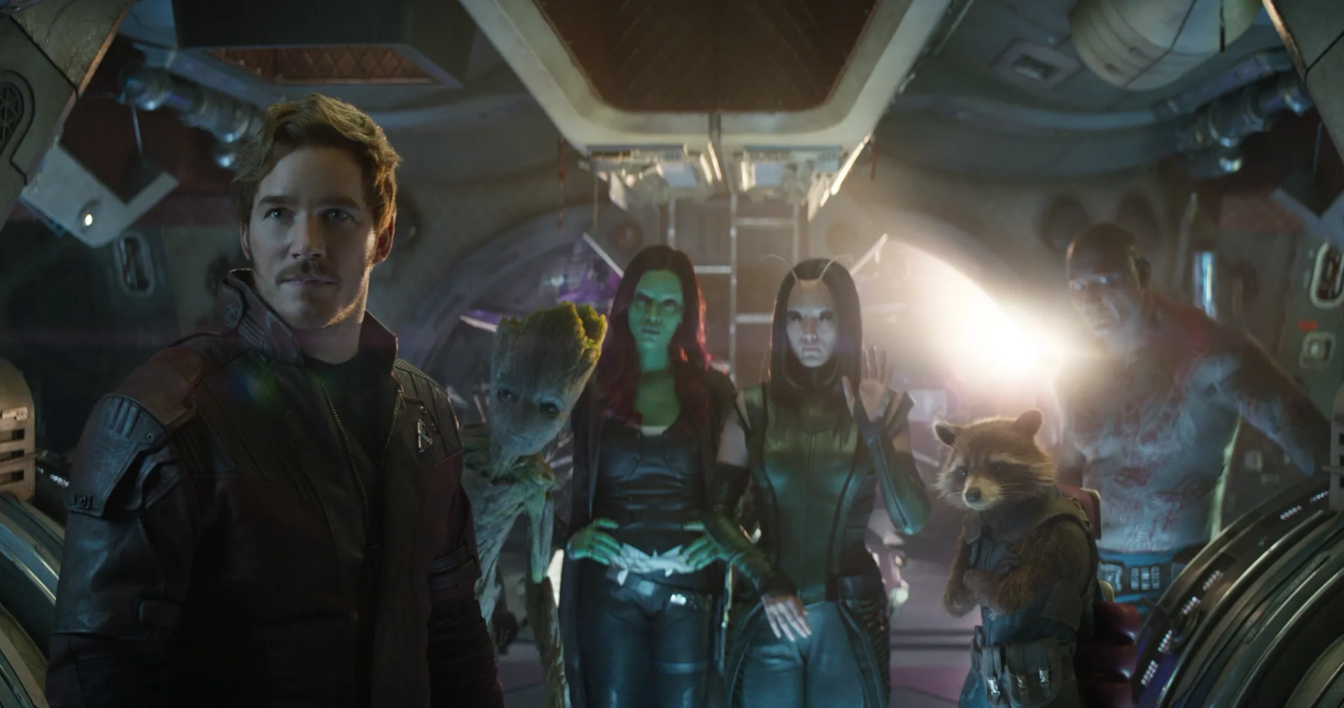 Vin Diesel, Bradley Cooper, Chris Pratt, Zoe Saldana, Dave Bautista, and Pom Klementieff in Avengers: Infinity War (2018)