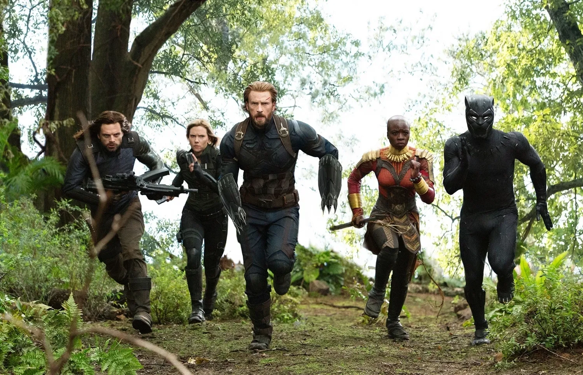 Chris Evans, Scarlett Johansson, Chadwick Boseman, Sebastian Stan, and Danai Gurira in Avengers: Infinity War (2018)