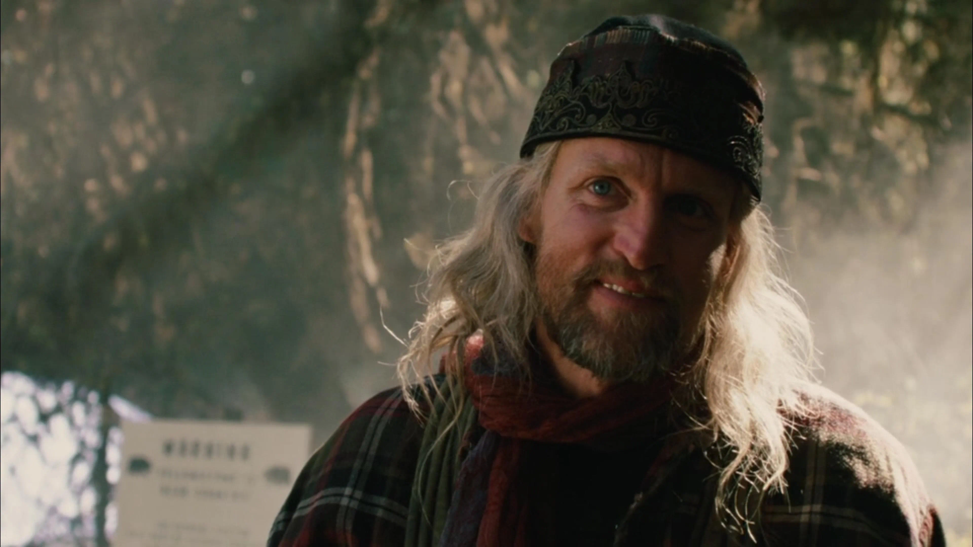 Woody Harrelson in 2012 (2009)