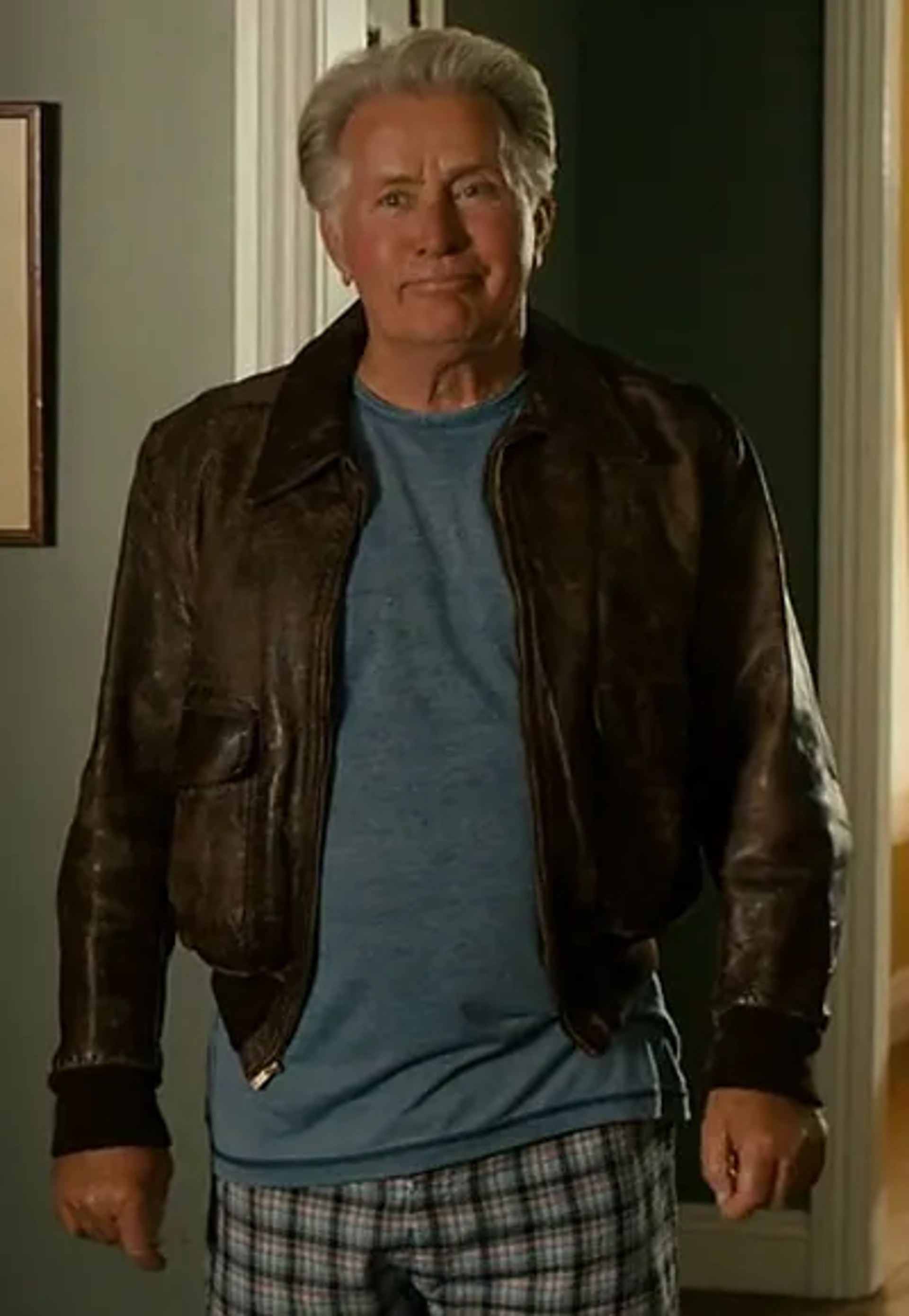 Martin Sheen in Seeking a Friend for the End of the World (2012)