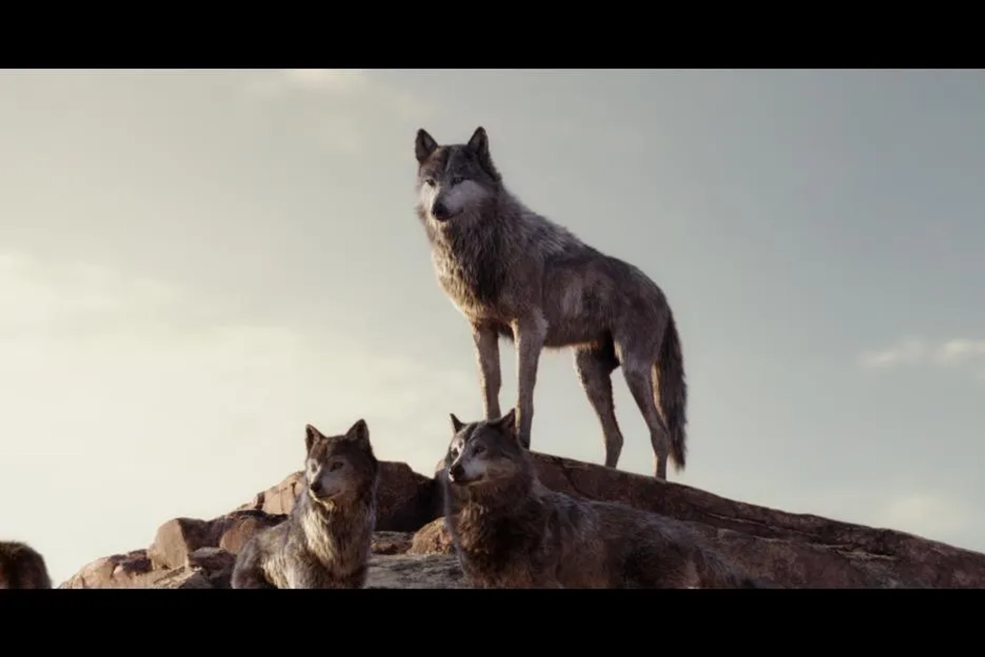 Giancarlo Esposito in The Jungle Book (2016)