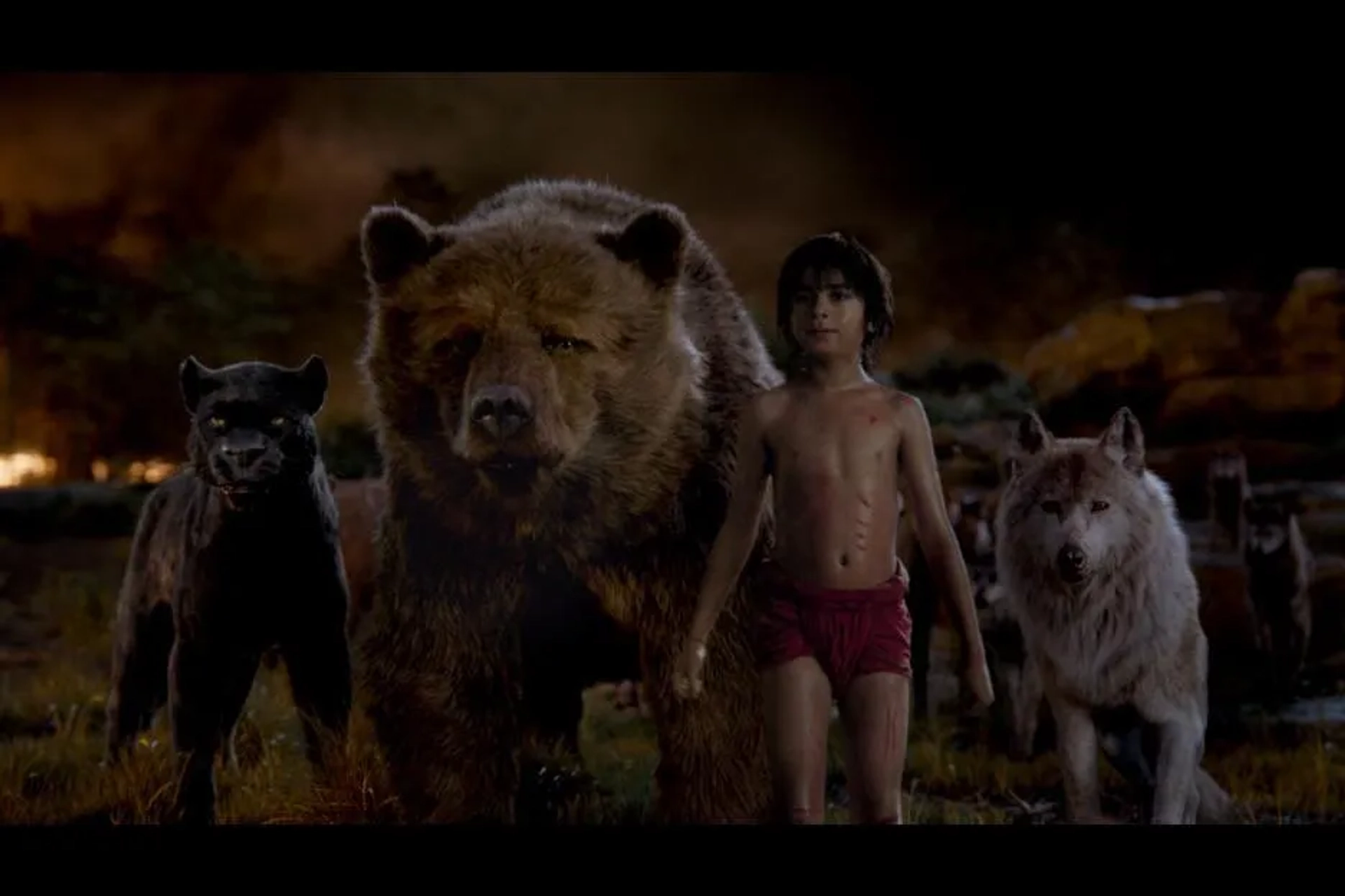 Bill Murray, Ben Kingsley, Lupita Nyong'o, and Neel Sethi in The Jungle Book (2016)