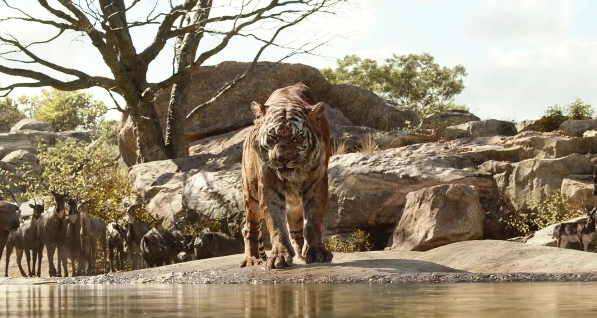 Idris Elba in The Jungle Book (2016)