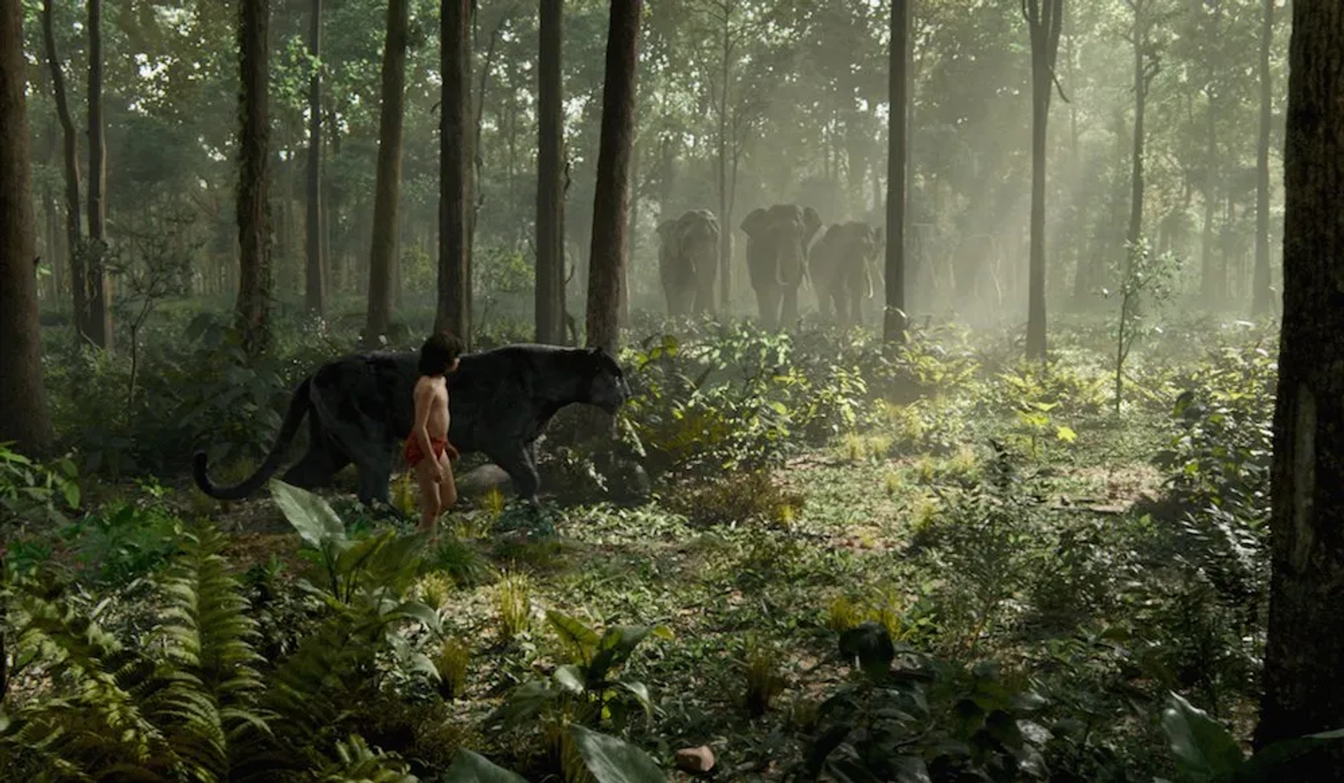 Ben Kingsley and Neel Sethi in The Jungle Book (2016)