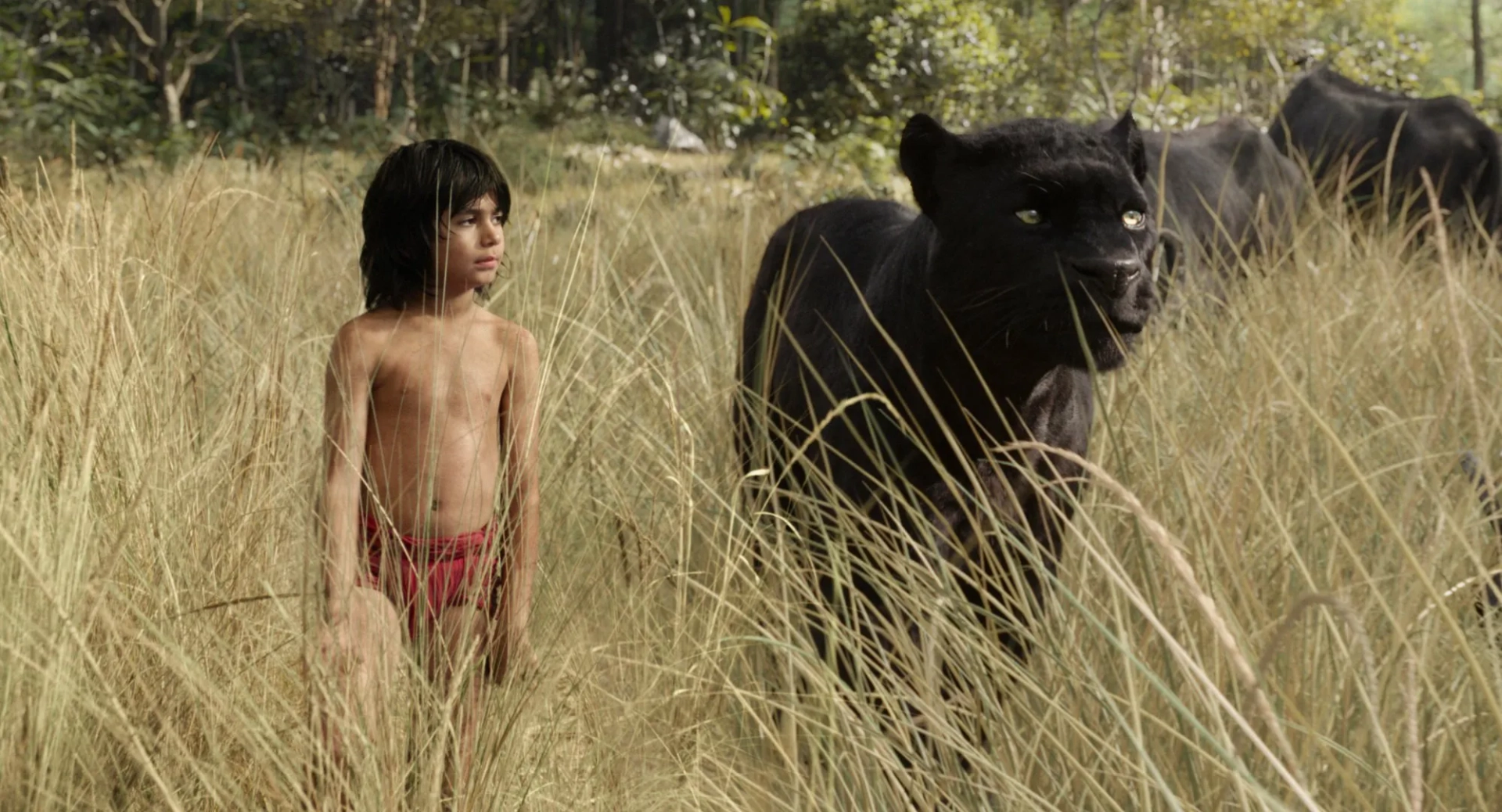 Ben Kingsley and Neel Sethi in The Jungle Book (2016)