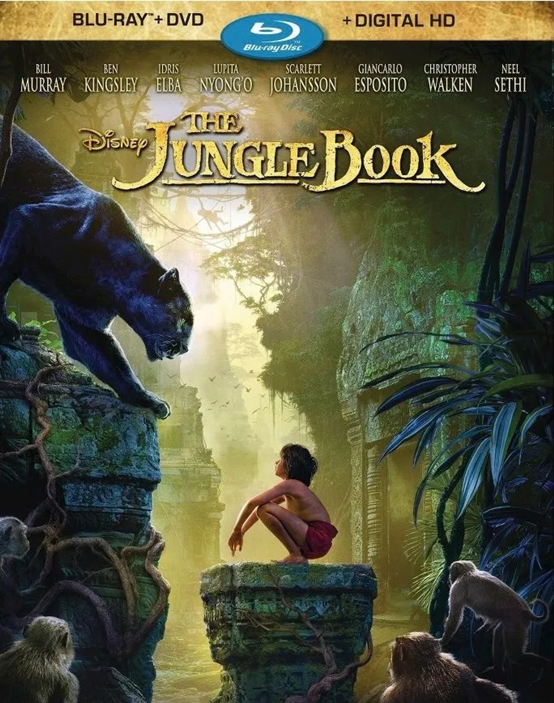 Ben Kingsley and Neel Sethi in The Jungle Book (2016)