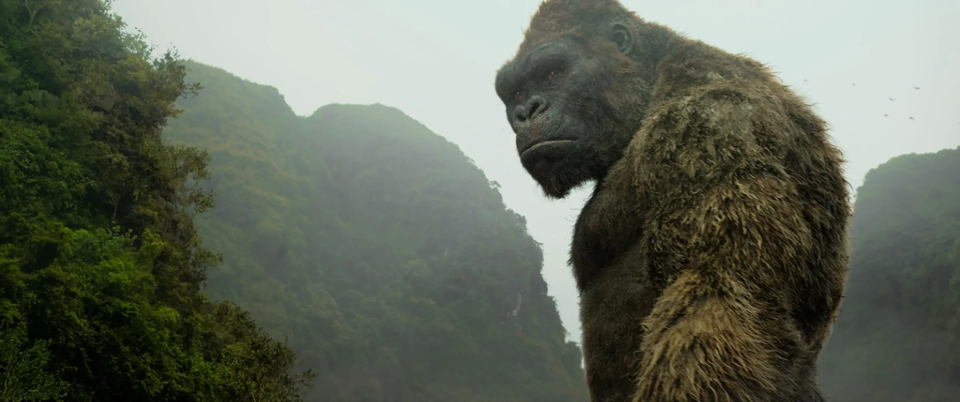 Terry Notary and Toby Kebbell in Kong: Skull Island (2017)