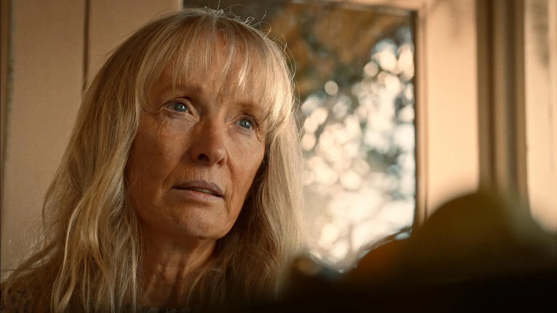 Lindsay Duncan in The Leftovers (2014)