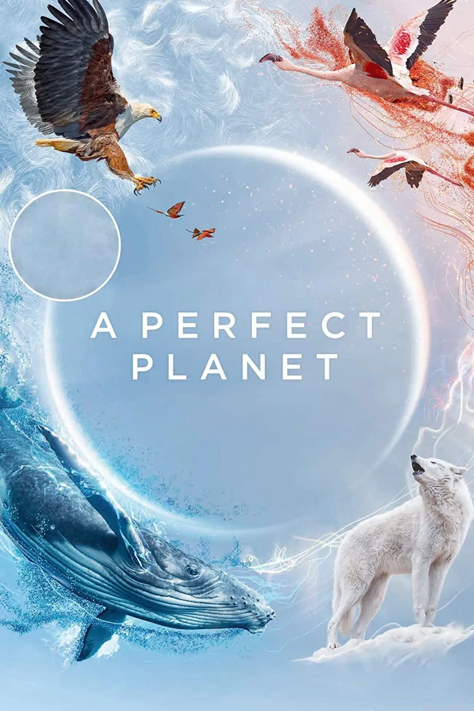 مستند یک سیاره کامل (A Perfect Planet 2021)
