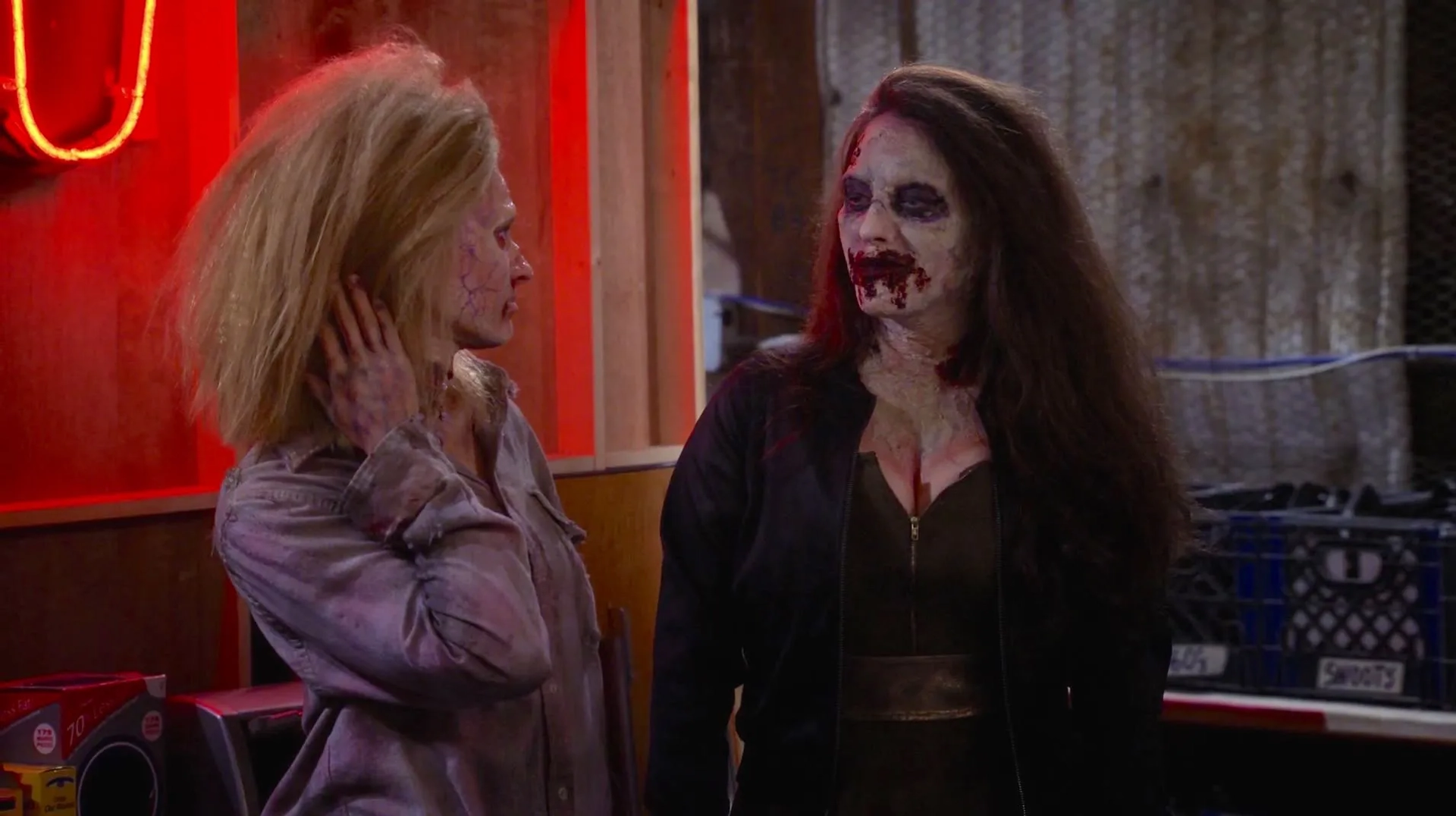 Kat Dennings and Beth Behrs in 2 Broke Girls (2011)