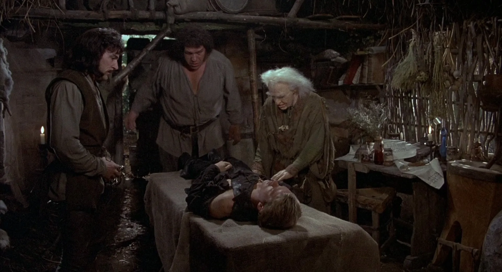 Cary Elwes, Billy Crystal, André René Roussimoff, and Mandy Patinkin in The Princess Bride (1987)