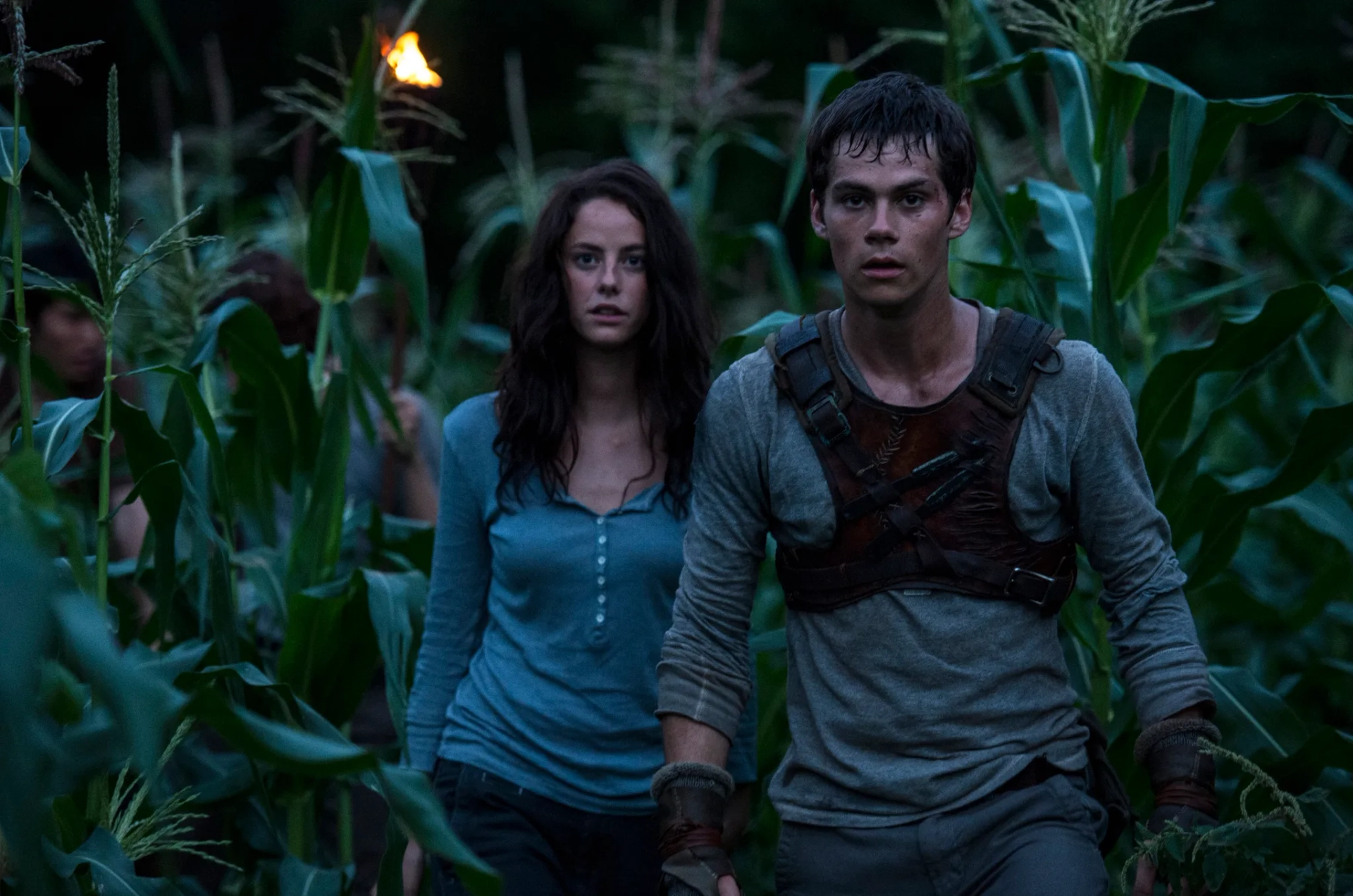 Kaya Scodelario and Dylan O'Brien in The Maze Runner (2014)