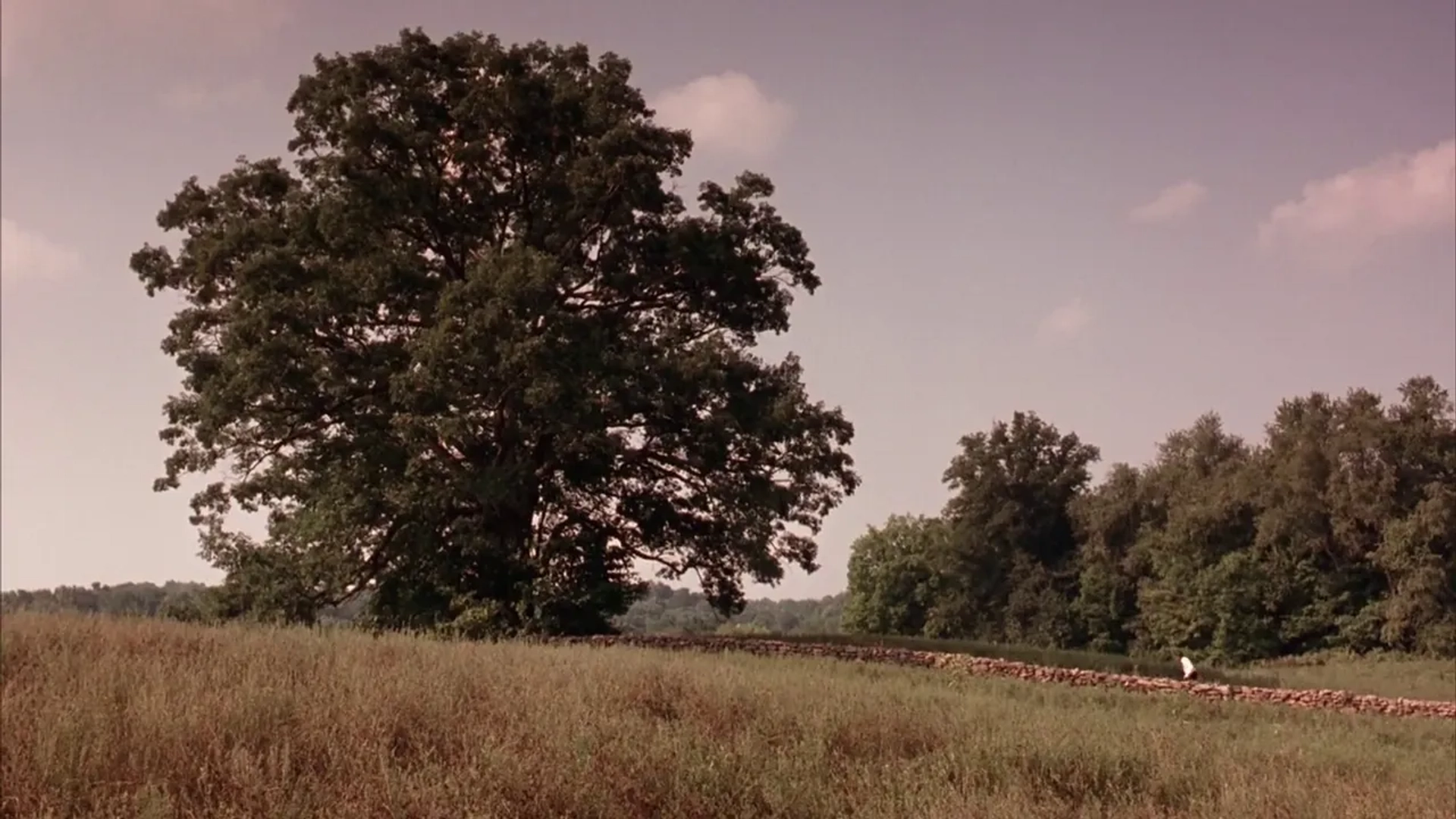 Morgan Freeman in The Shawshank Redemption (1994)