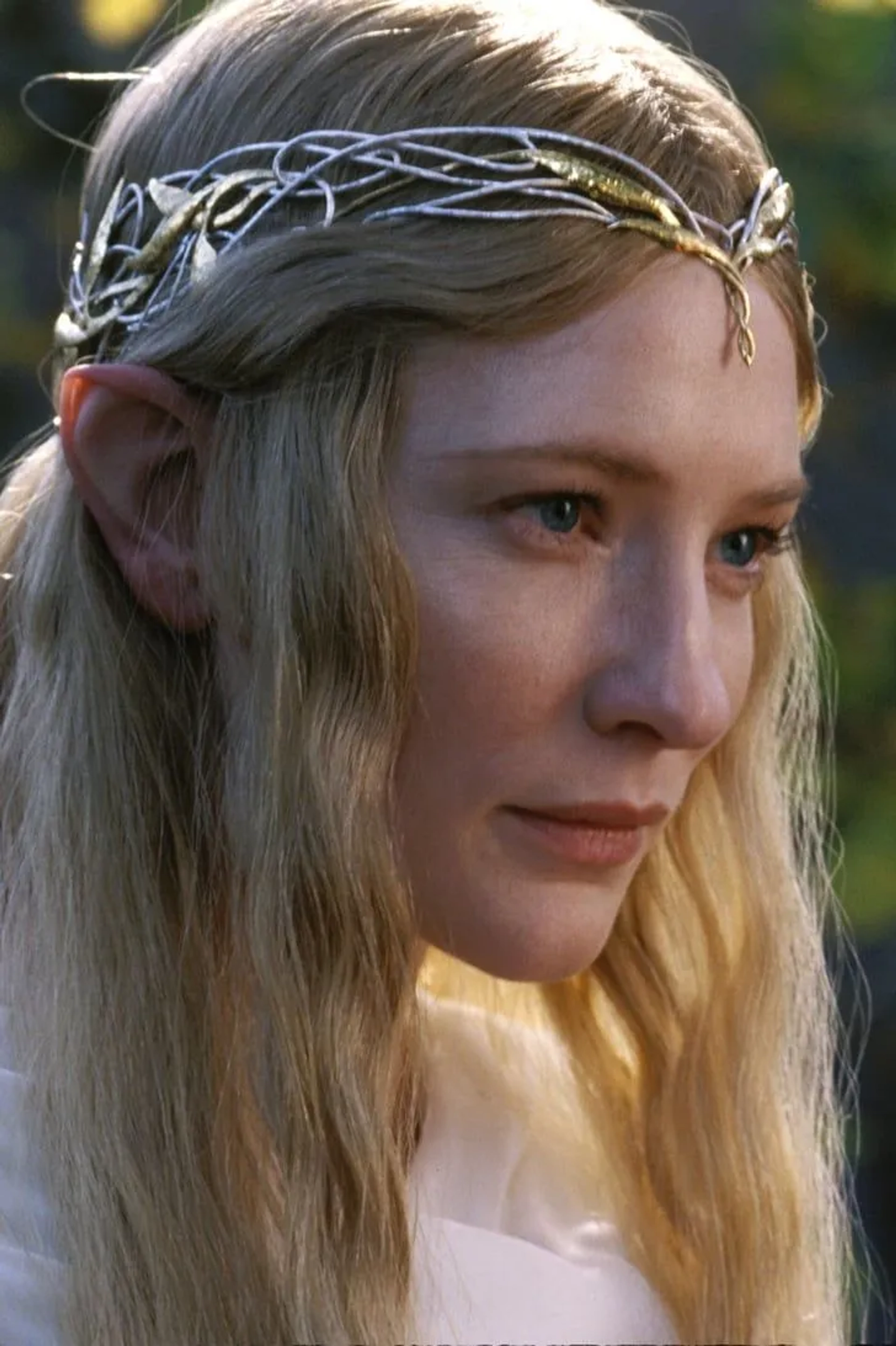 Cate Blanchett in The Lord of the Rings: The Return of the King (2003)