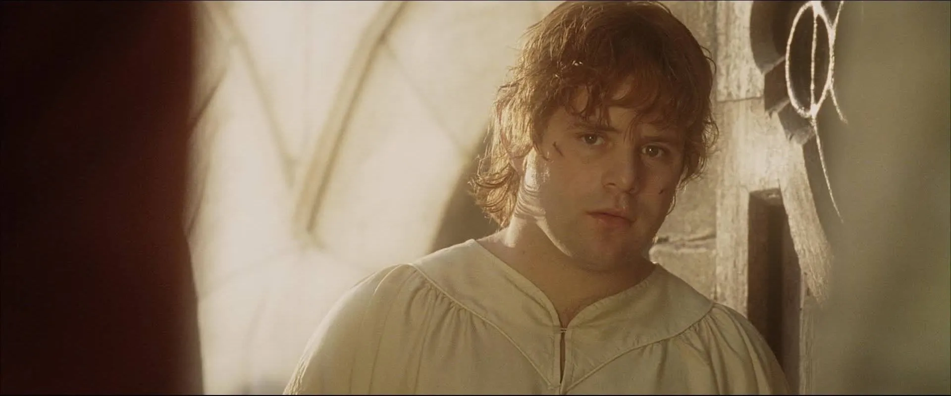 Sean Astin in The Lord of the Rings: The Return of the King (2003)