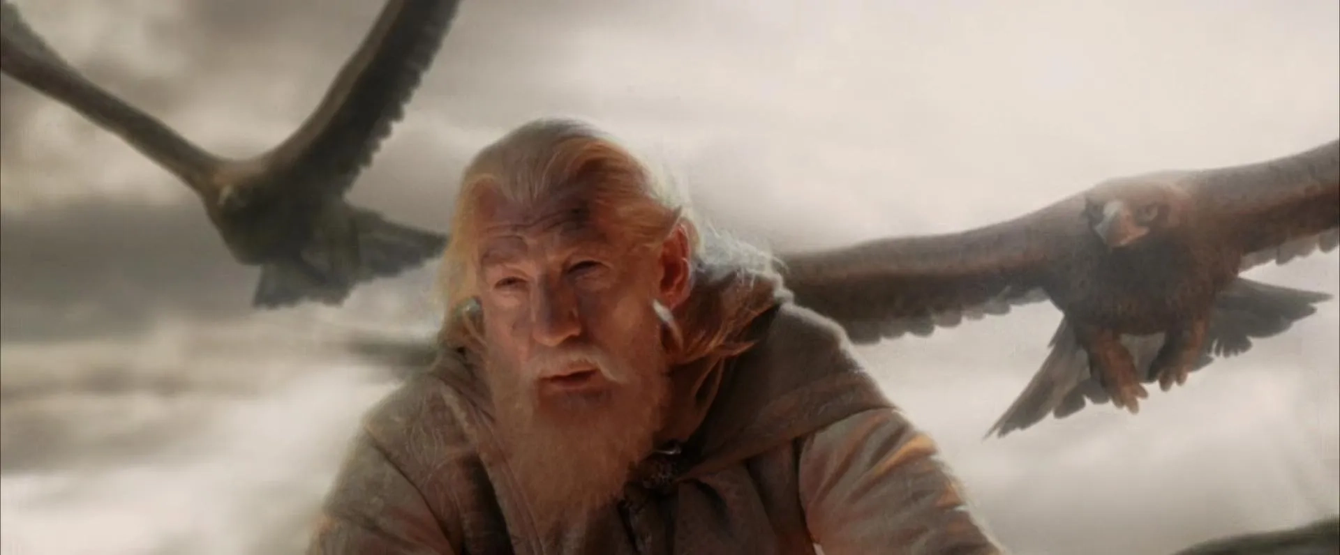 Ian McKellen in The Lord of the Rings: The Return of the King (2003)