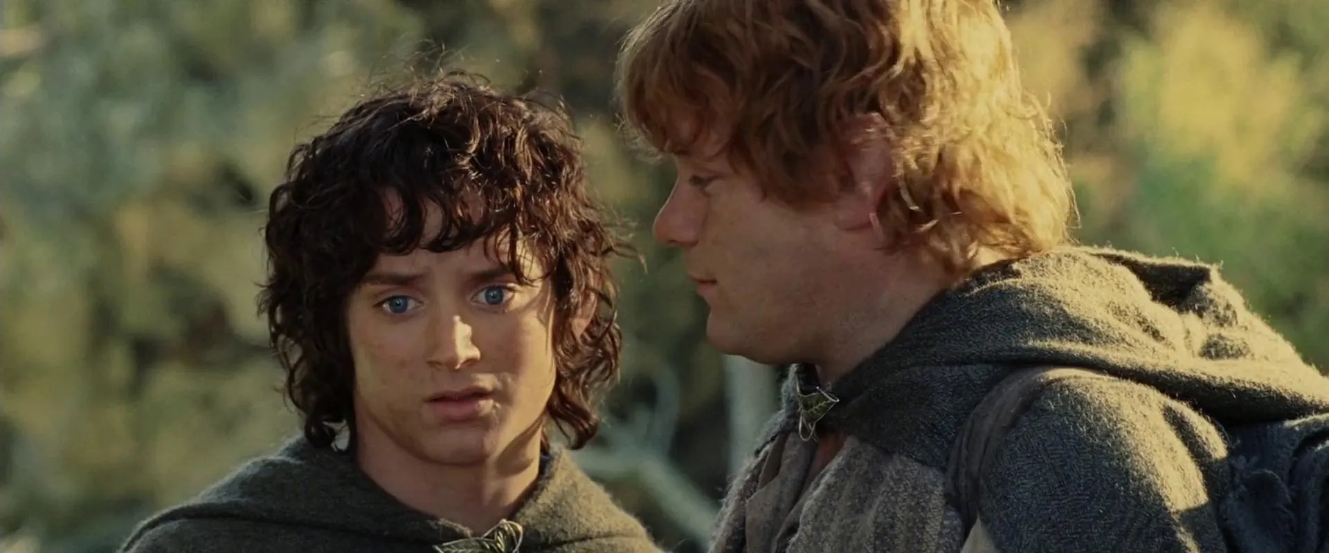 Sean Astin and Elijah Wood in The Lord of the Rings: The Return of the King (2003)