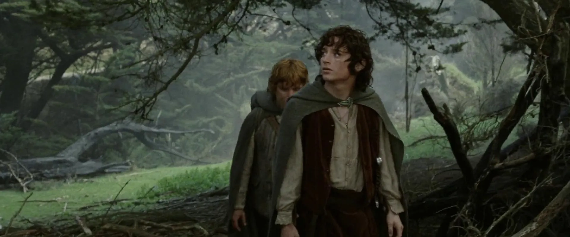 Sean Astin and Elijah Wood in The Lord of the Rings: The Return of the King (2003)