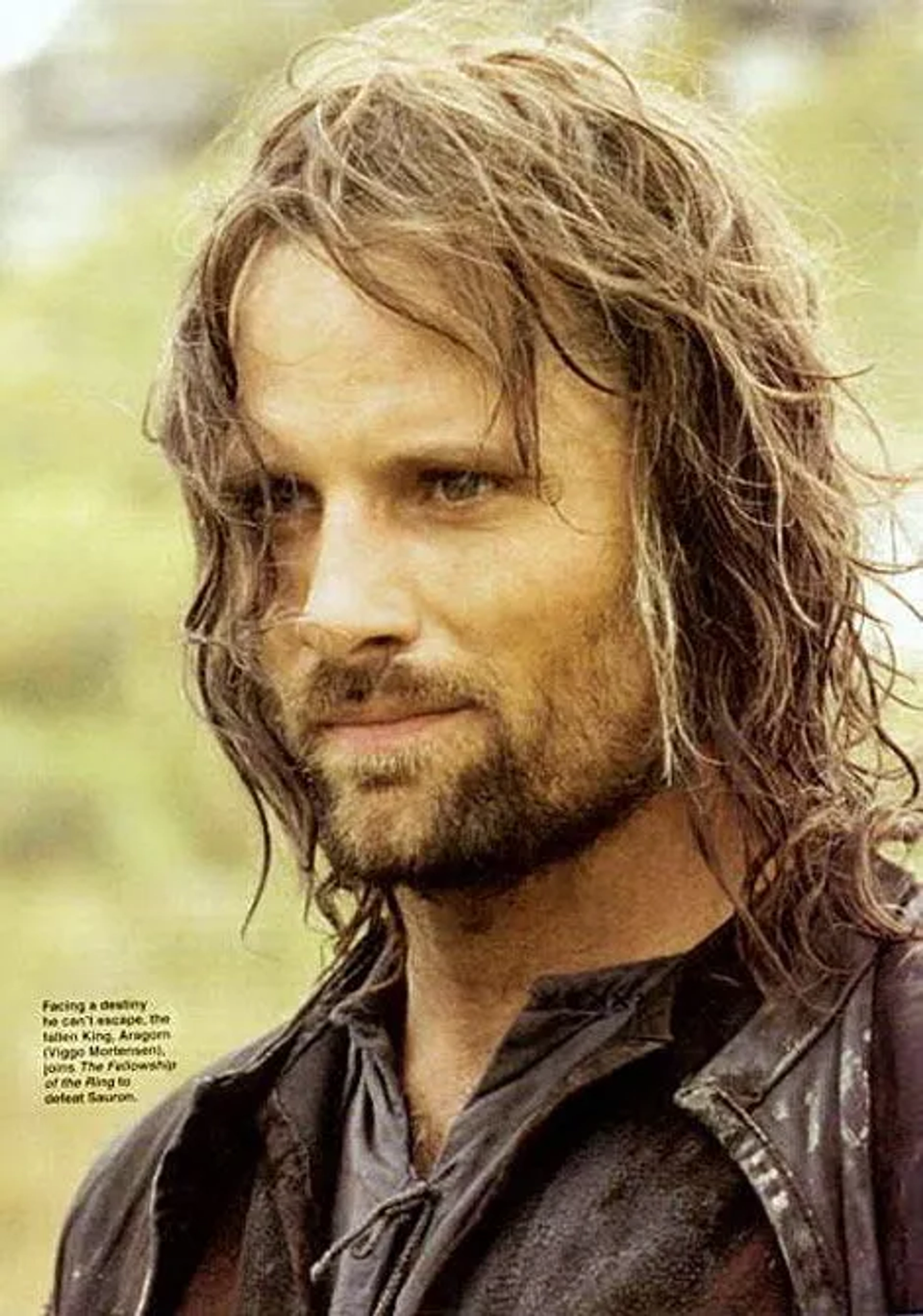 Viggo Mortensen in The Lord of the Rings: The Two Towers (2002)