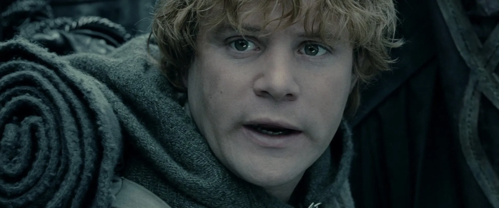 Sean Astin in The Lord of the Rings: The Two Towers (2002)