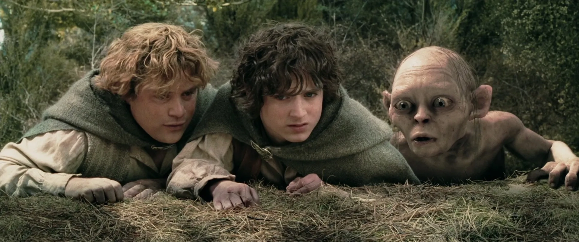 Sean Astin, Elijah Wood, and Andy Serkis in The Lord of the Rings: The Two Towers (2002)