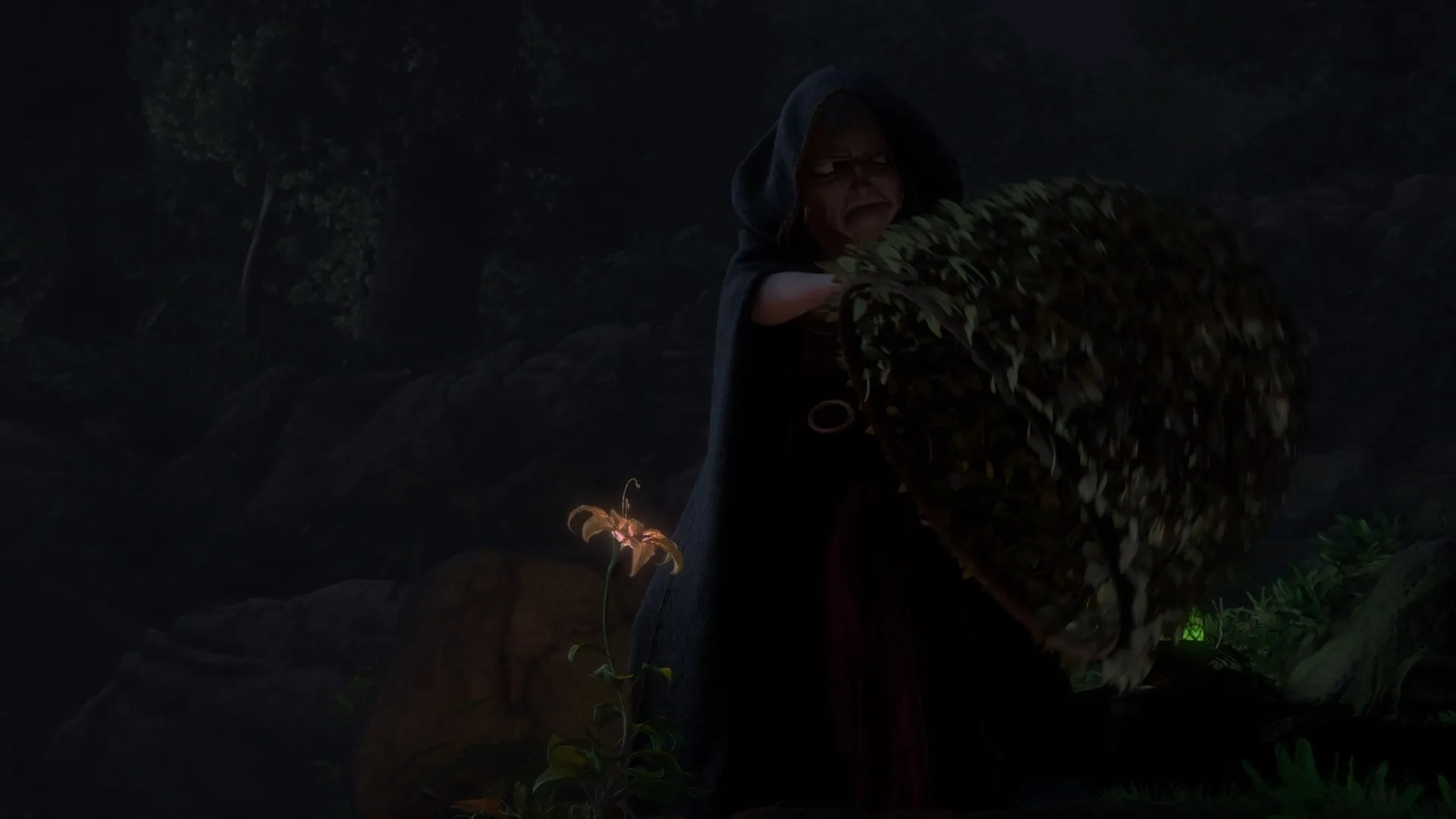 Donna Murphy in Tangled (2010)