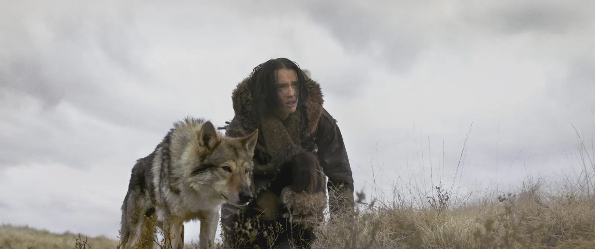 Kodi Smit-McPhee in Alpha (2018)