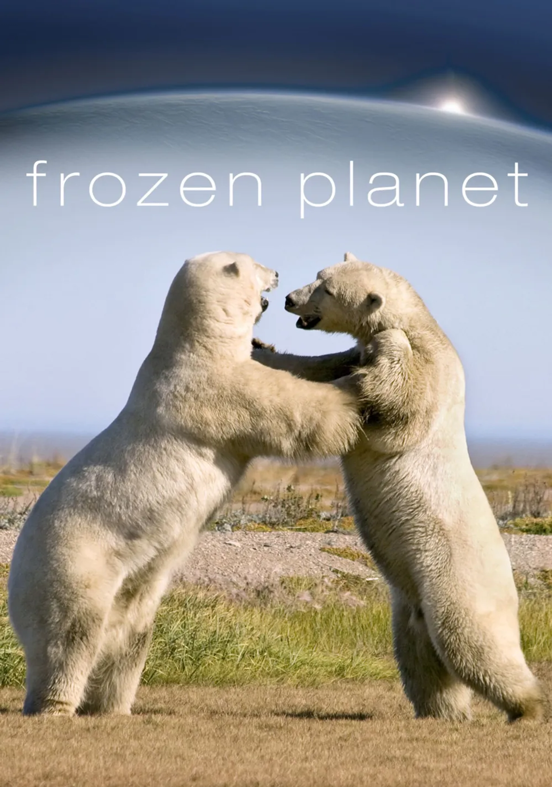 مستند سیاره یخ‌ زده (Frozen Planet 2011)