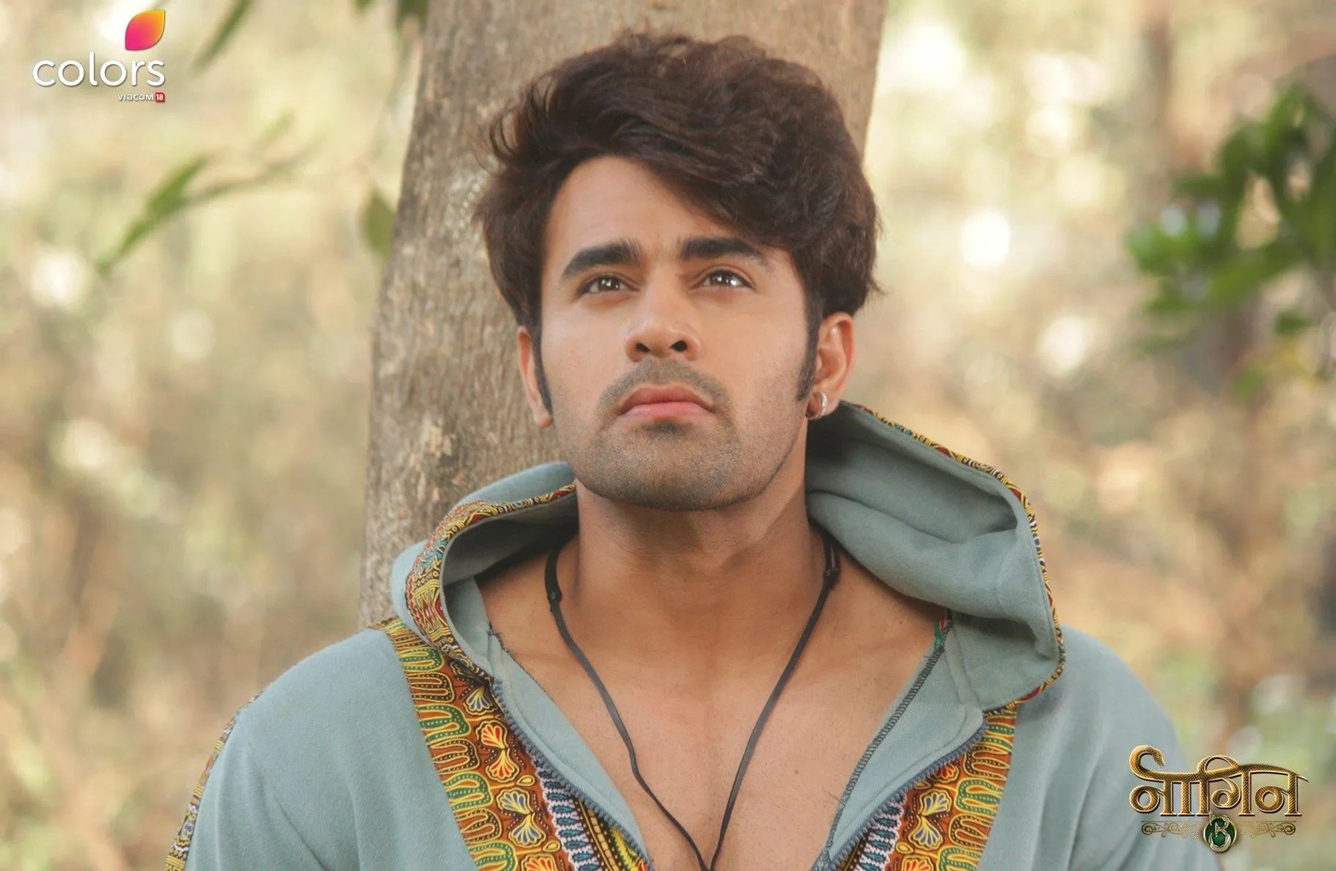 Pearl V Puri in Naagin (2015)