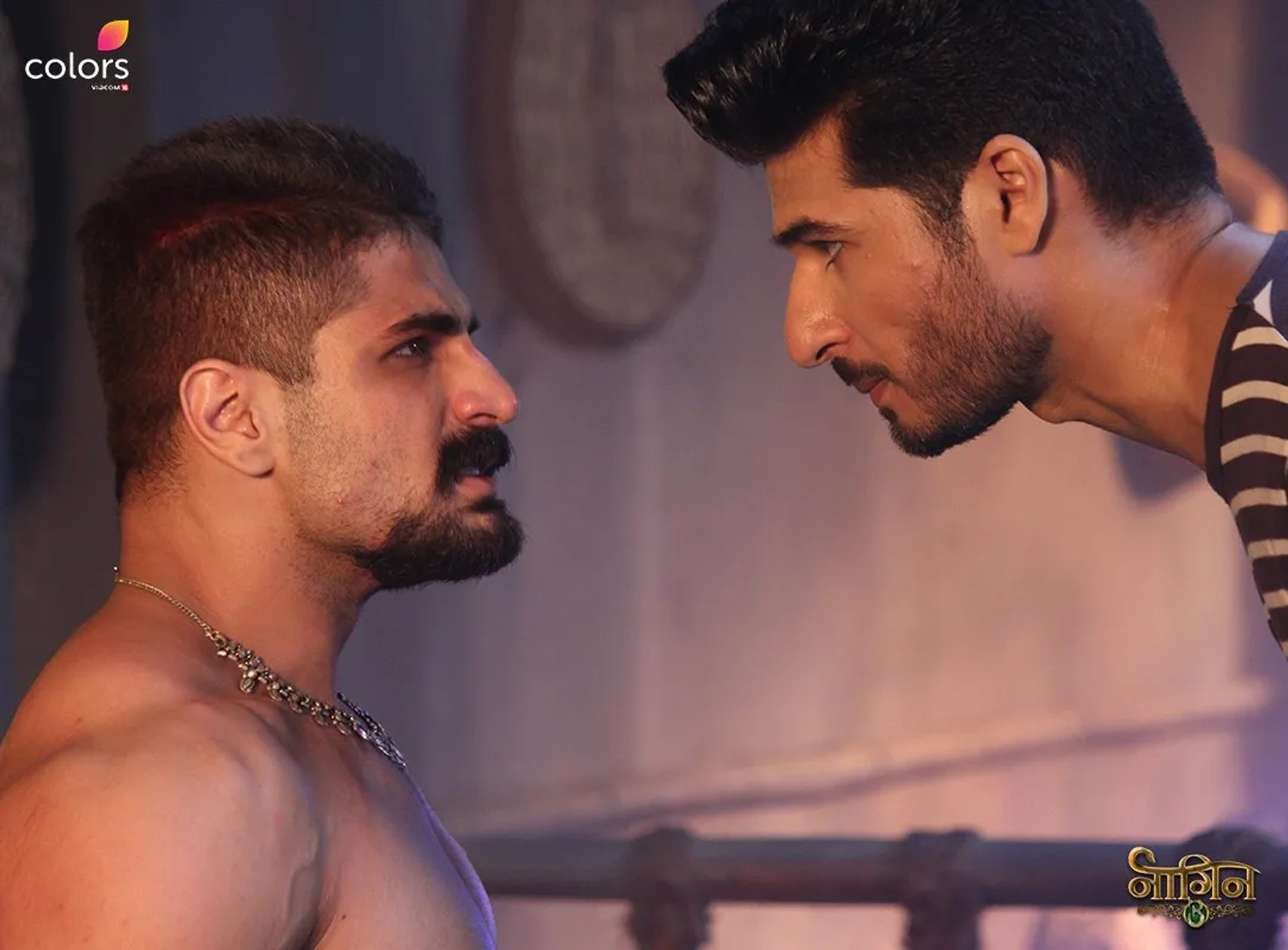 Rajat Tokas and Puneet Chouksey in Naagin (2015)