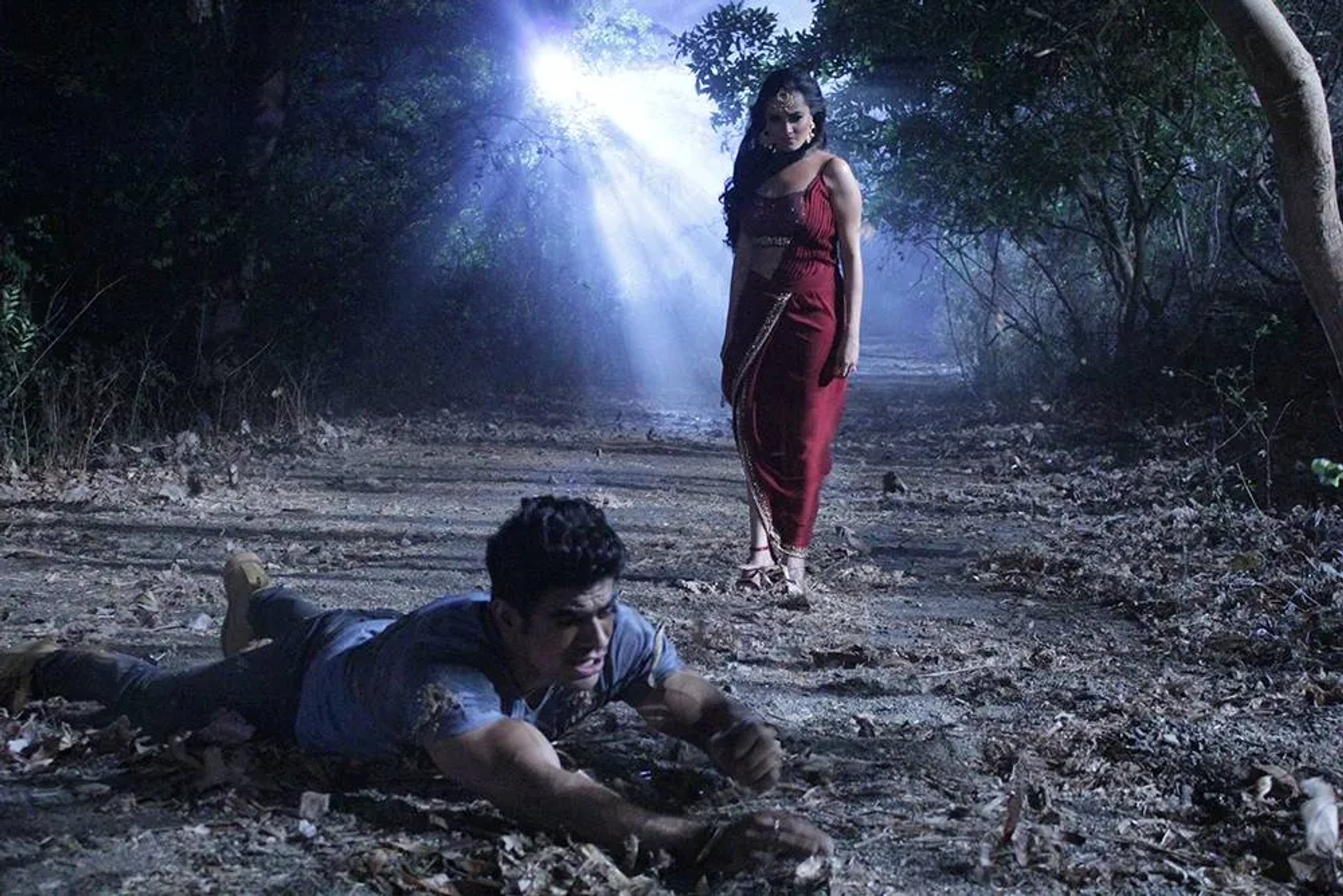 Anita Hassanandani Reddy and Ankit Mohan in Naagin (2015)