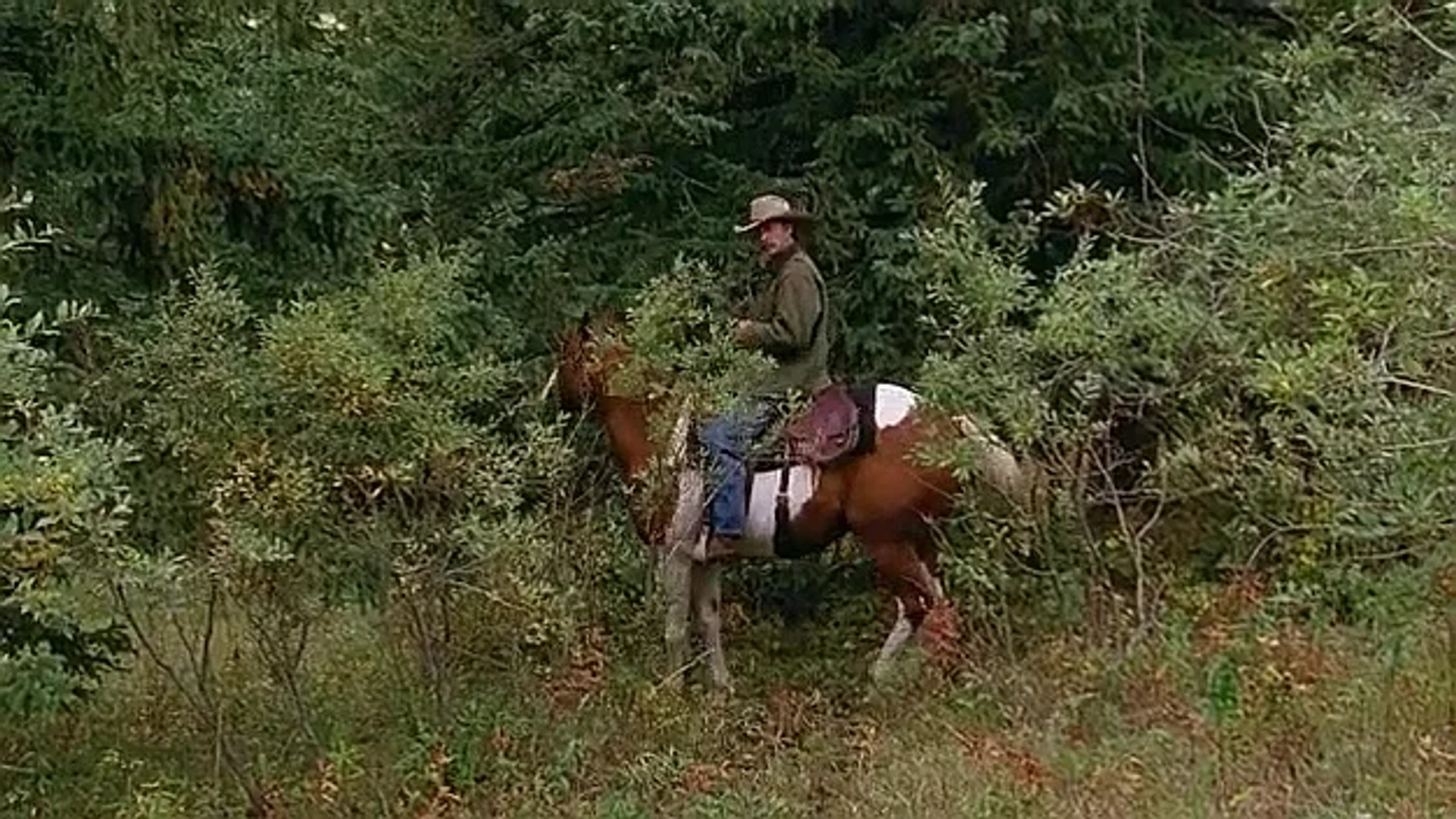 Shaun Johnston in Heartland (2007)