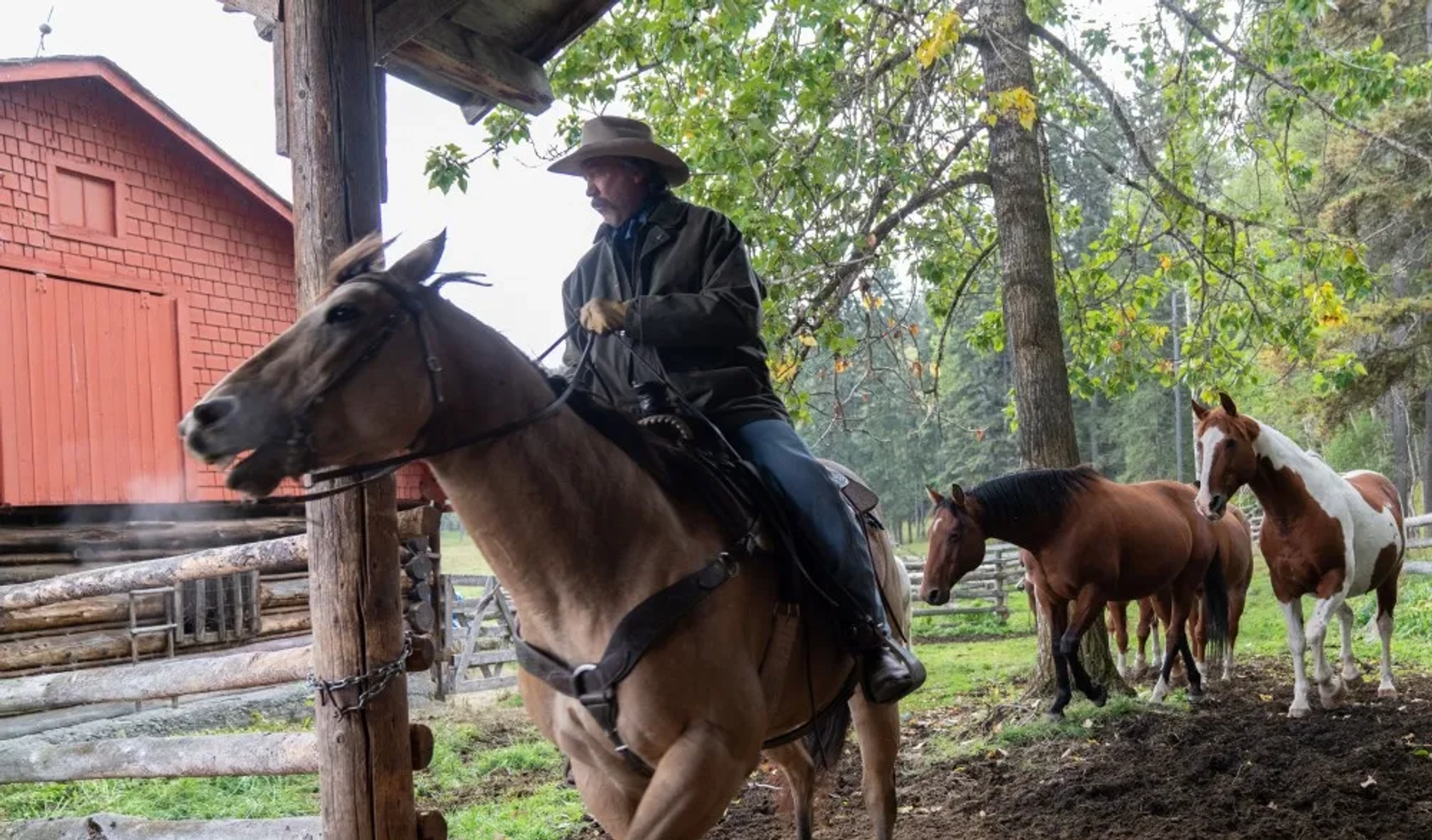 Shaun Johnston in Heartland (2007)