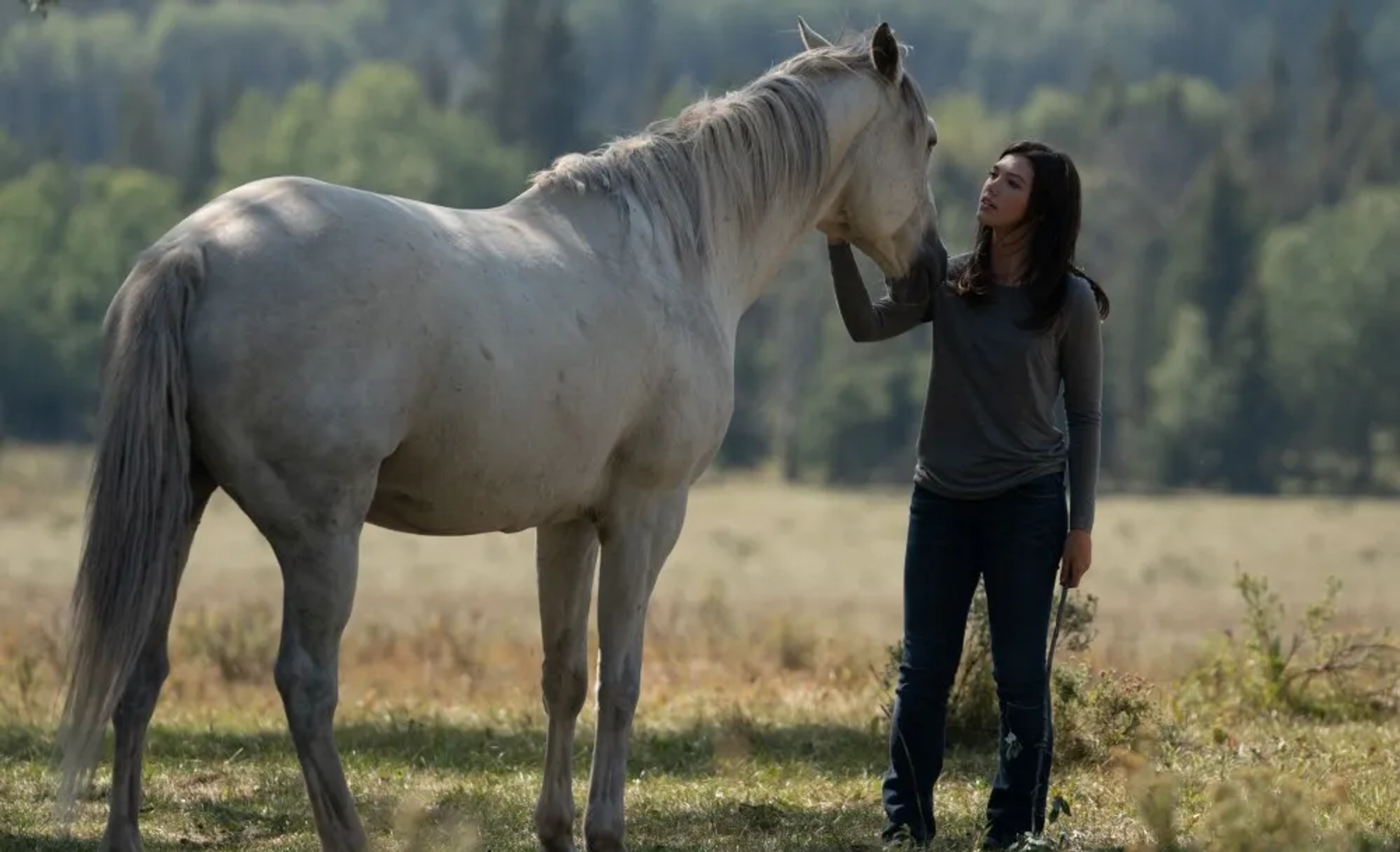 Alisha Newton in Heartland (2007)