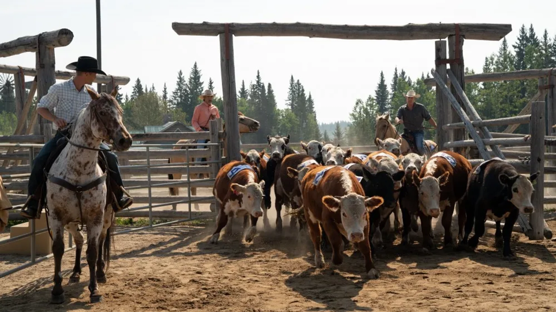 Shaun Johnston, Chris Potter, and Kerry James in Heartland (2007)