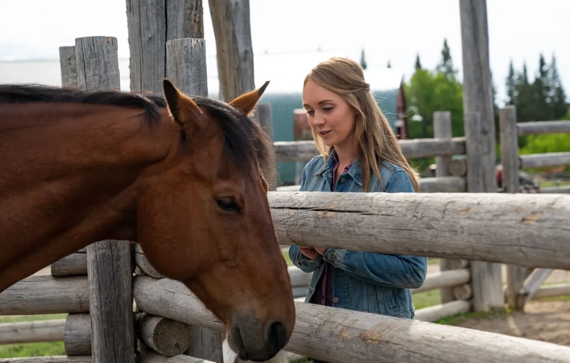 Amber Marshall in Heartland (2007)