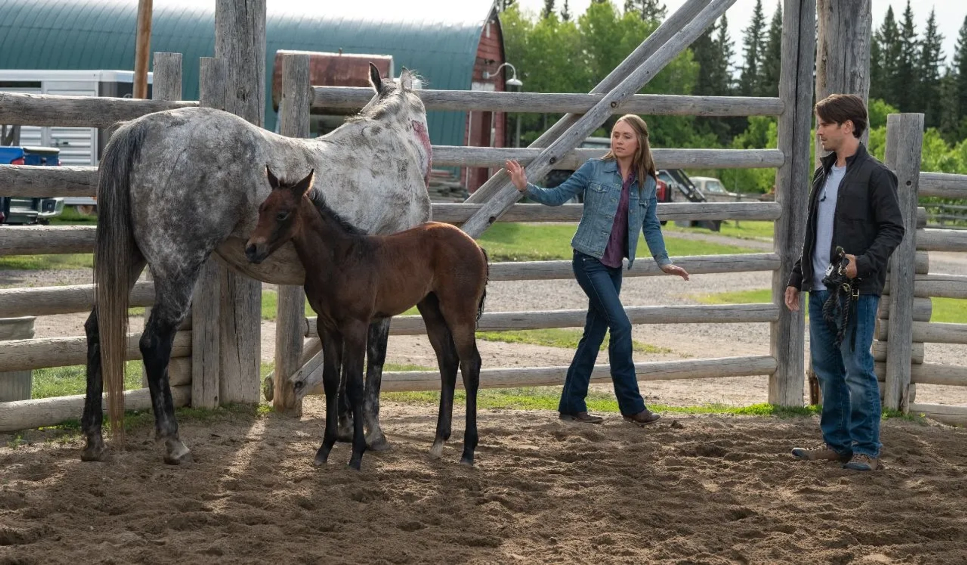 Graham Wardle and Amber Marshall in Heartland (2007)