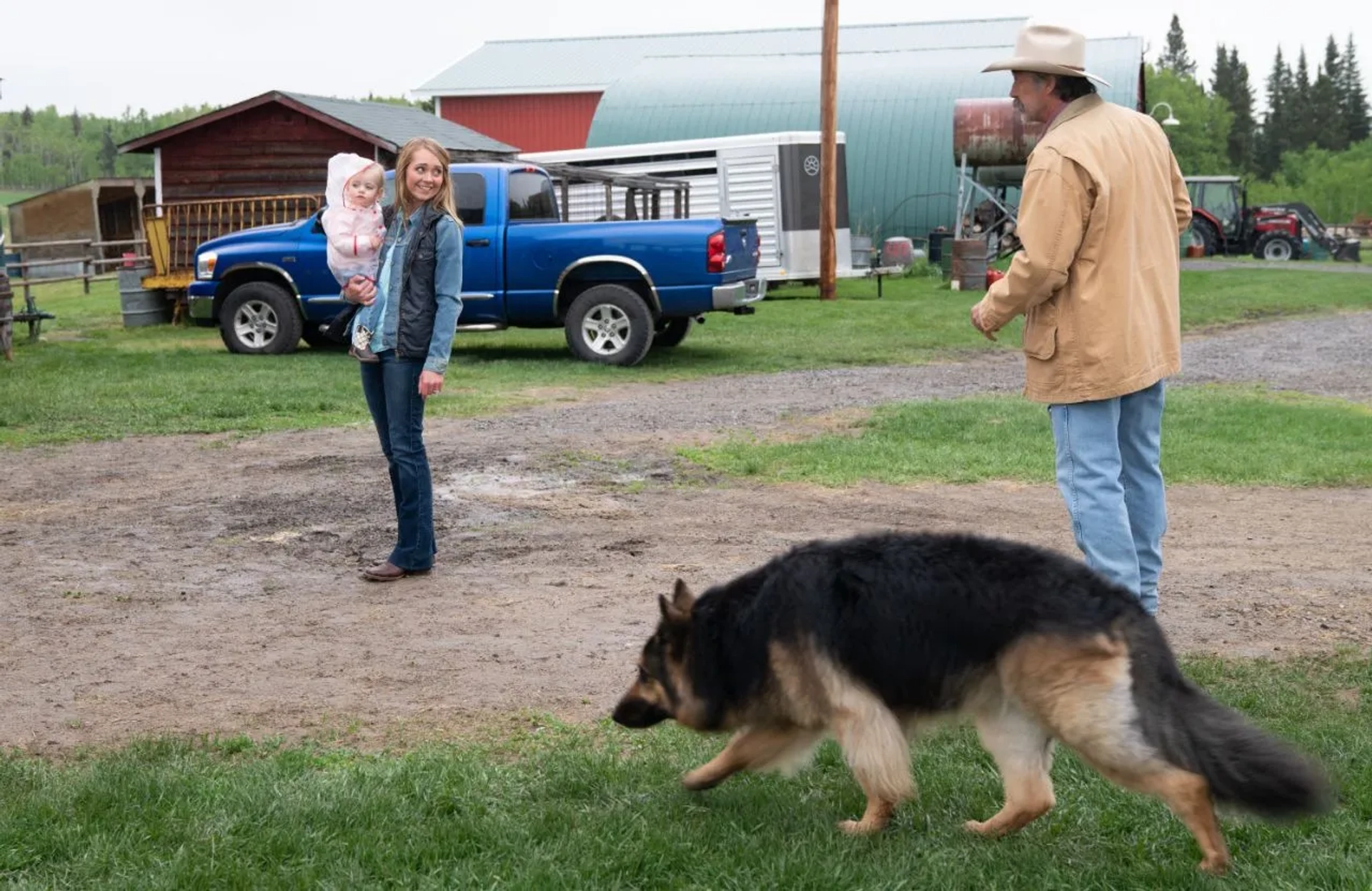 Shaun Johnston, Amber Marshall, Ruby Spencer, and Emmanuella Spencer in Heartland (2007)