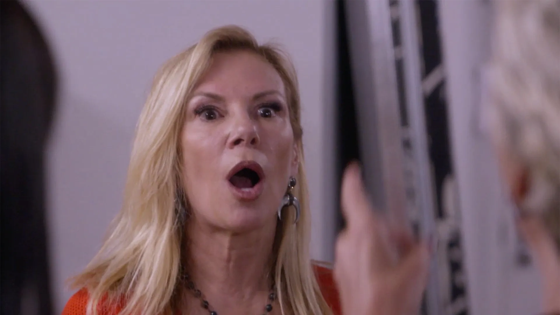 Ramona Singer in The Real Housewives of New York City (2008)