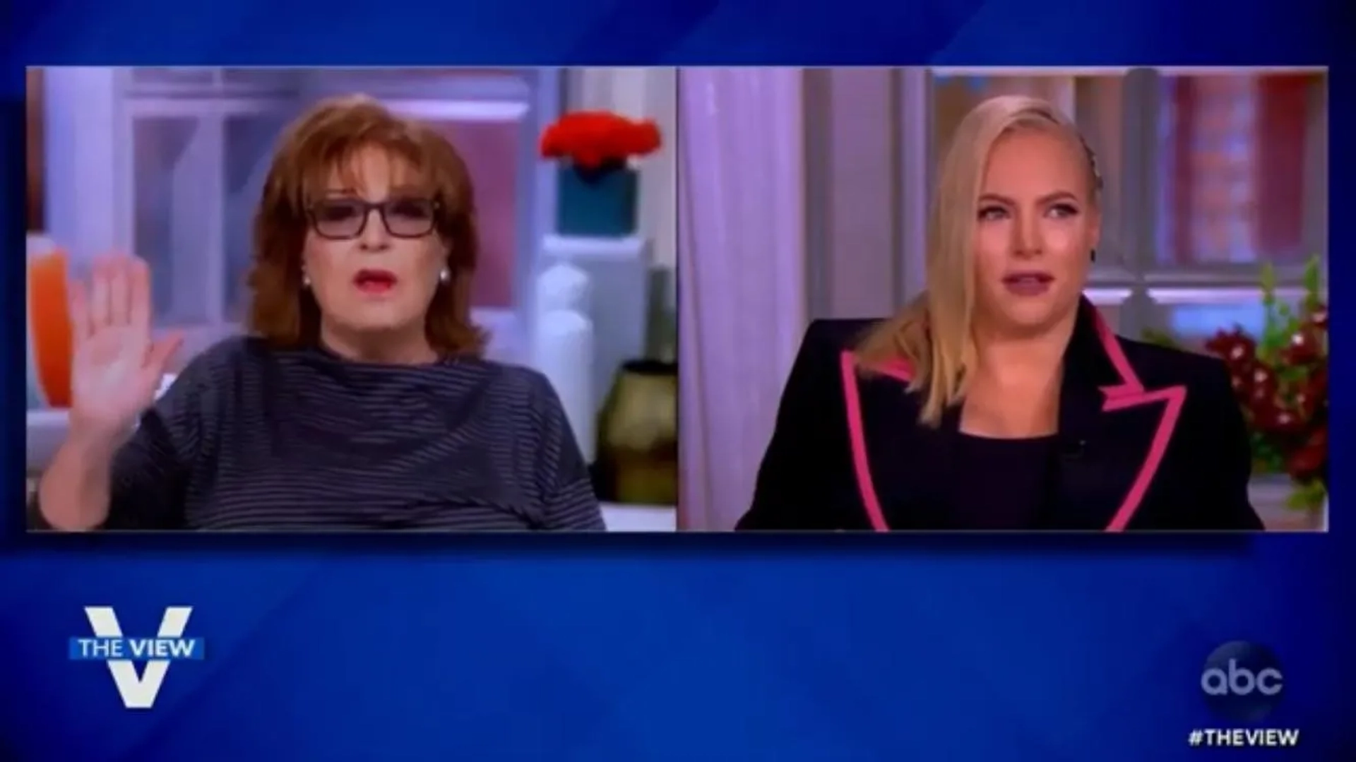 Joy Behar and Meghan McCain in The View (1997)