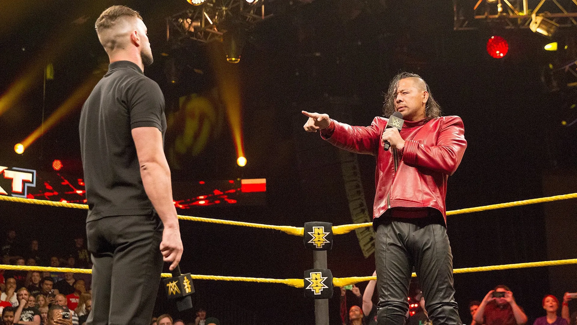 Fergal Devitt and Shinsuke Nakamura in WWE NXT (2010)