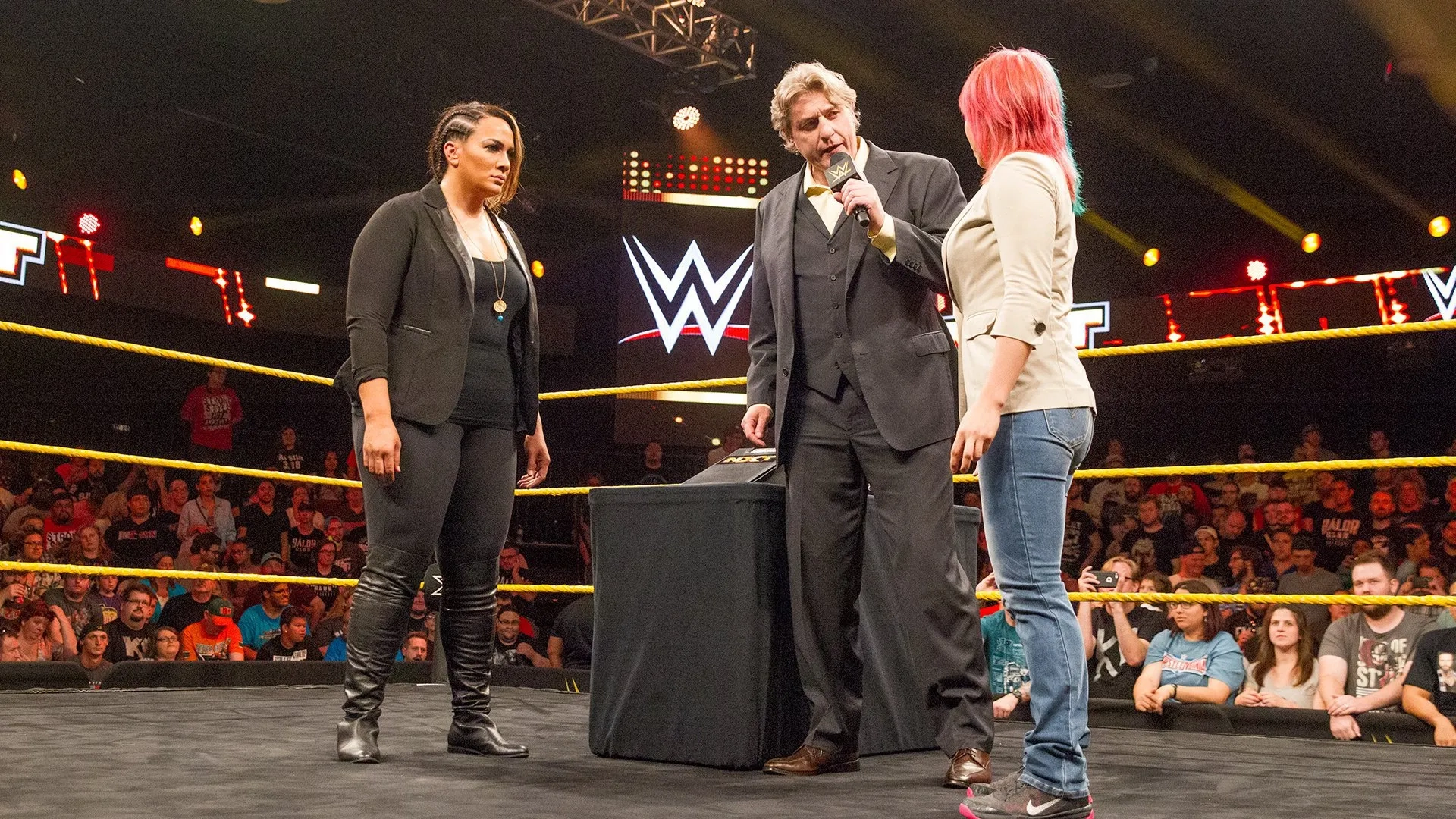 Darren Matthews, Kanako Urai, and Savelina Fanene in WWE NXT (2010)