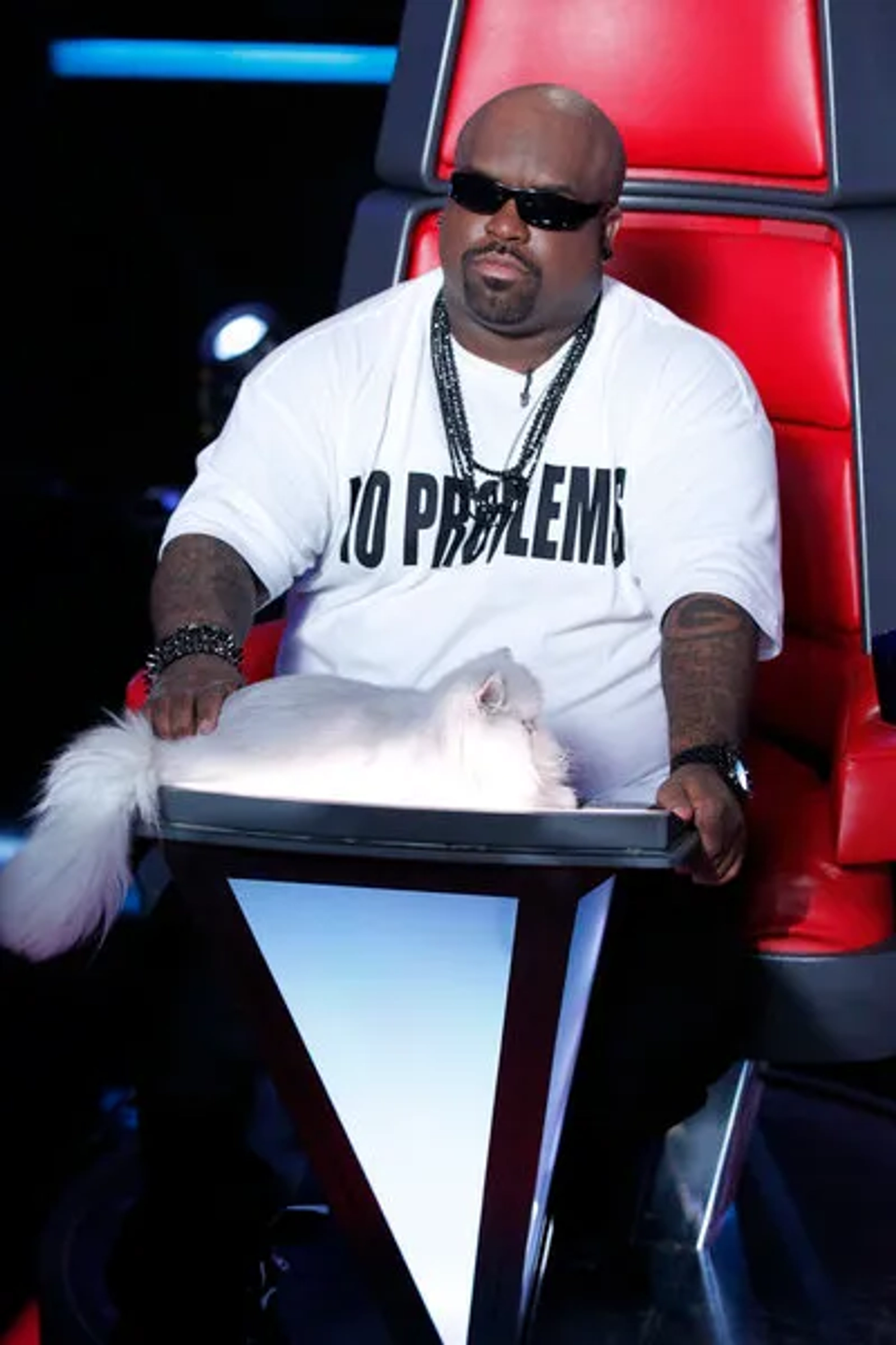 CeeLo Green in The Voice (2011)