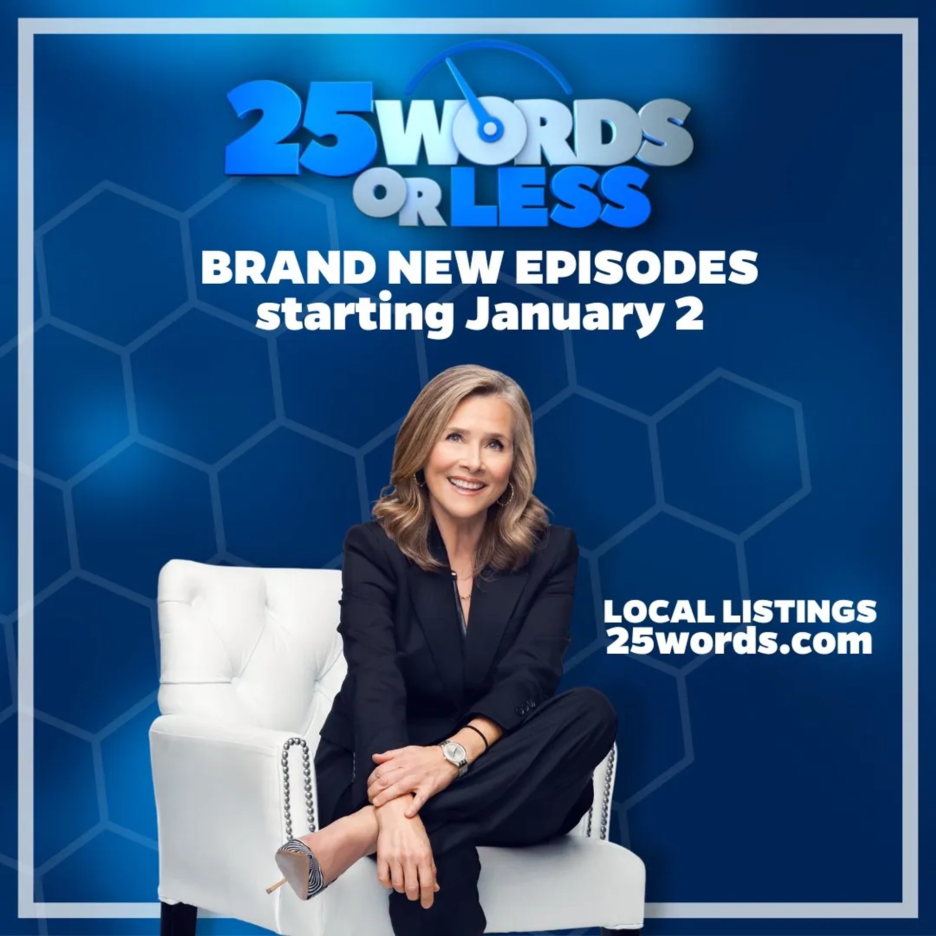 Meredith Vieira in 25 Words or Less (2018)