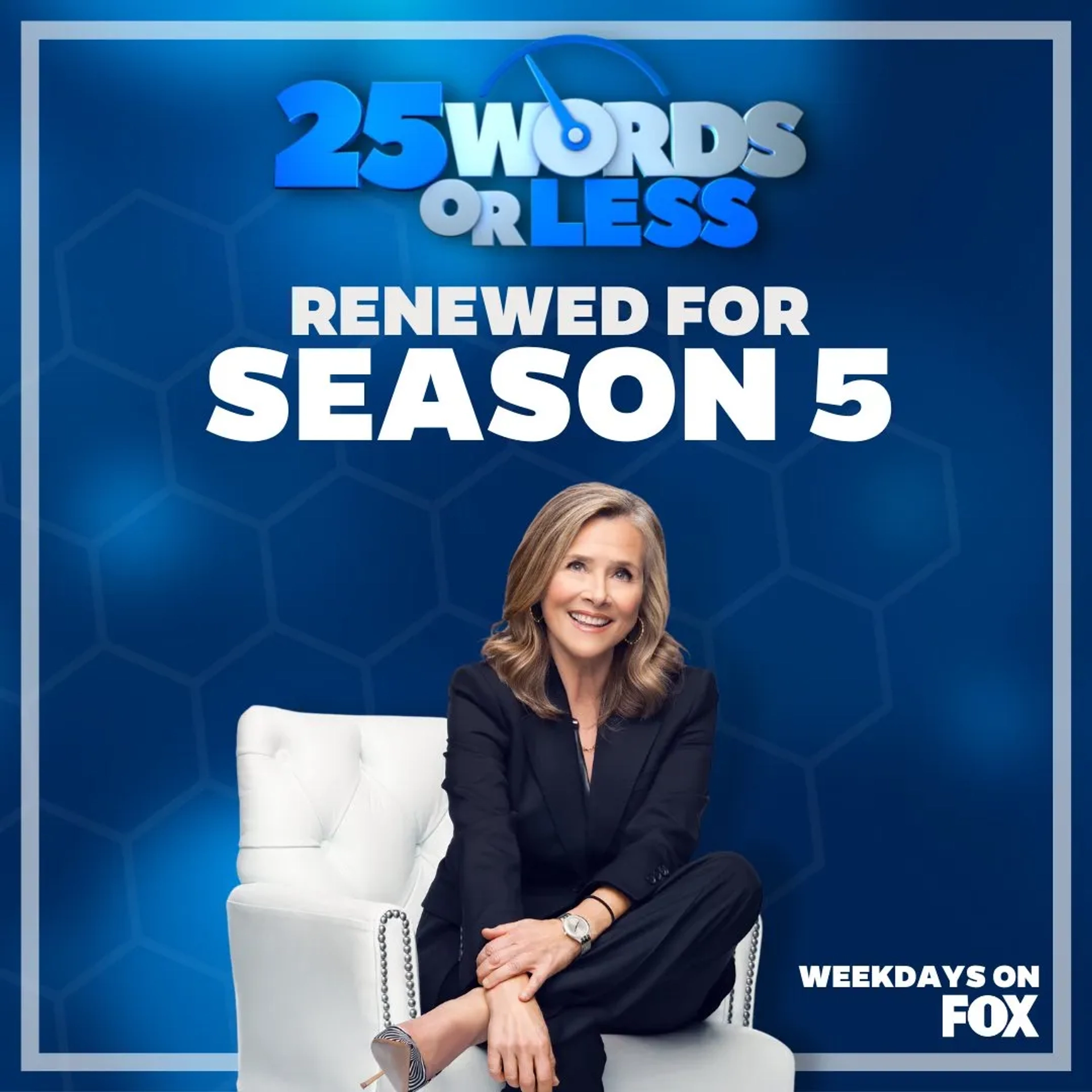 Meredith Vieira in 25 Words or Less (2018)