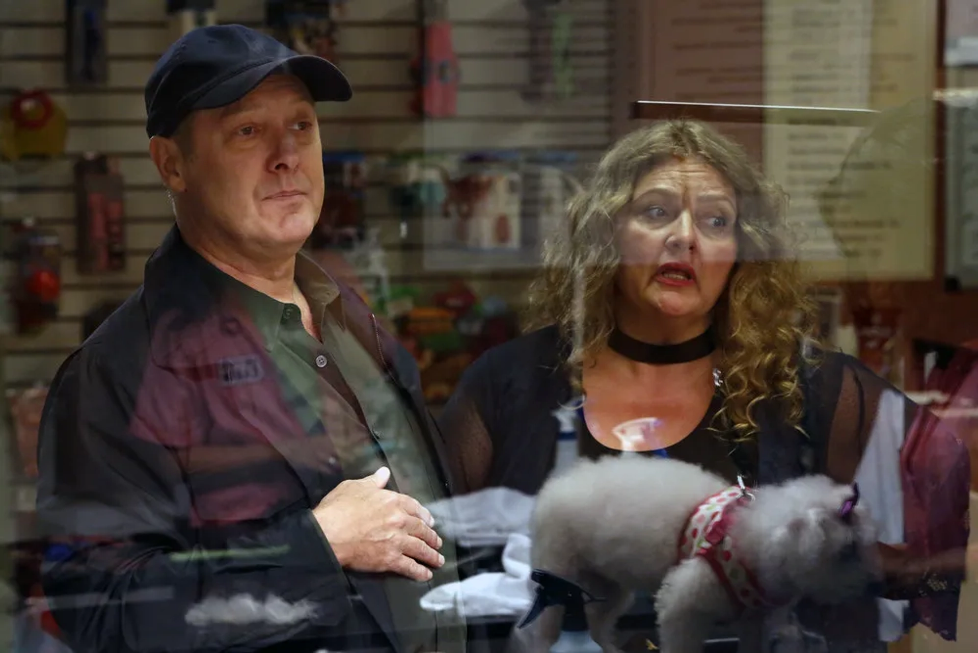 James Spader and Aida Turturro in The Blacklist (2013)