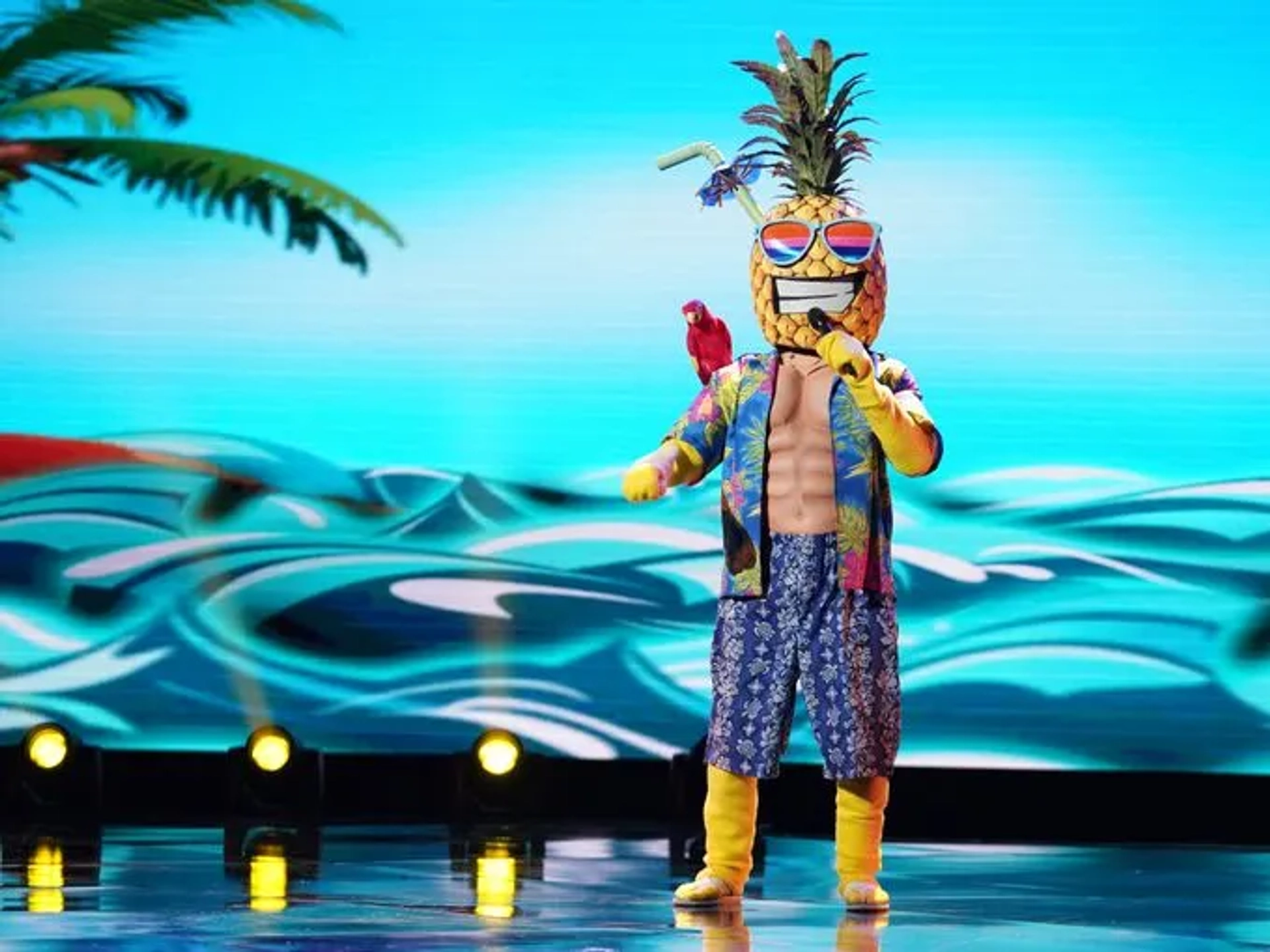 Tommy Chong in The Masked Singer (2019)