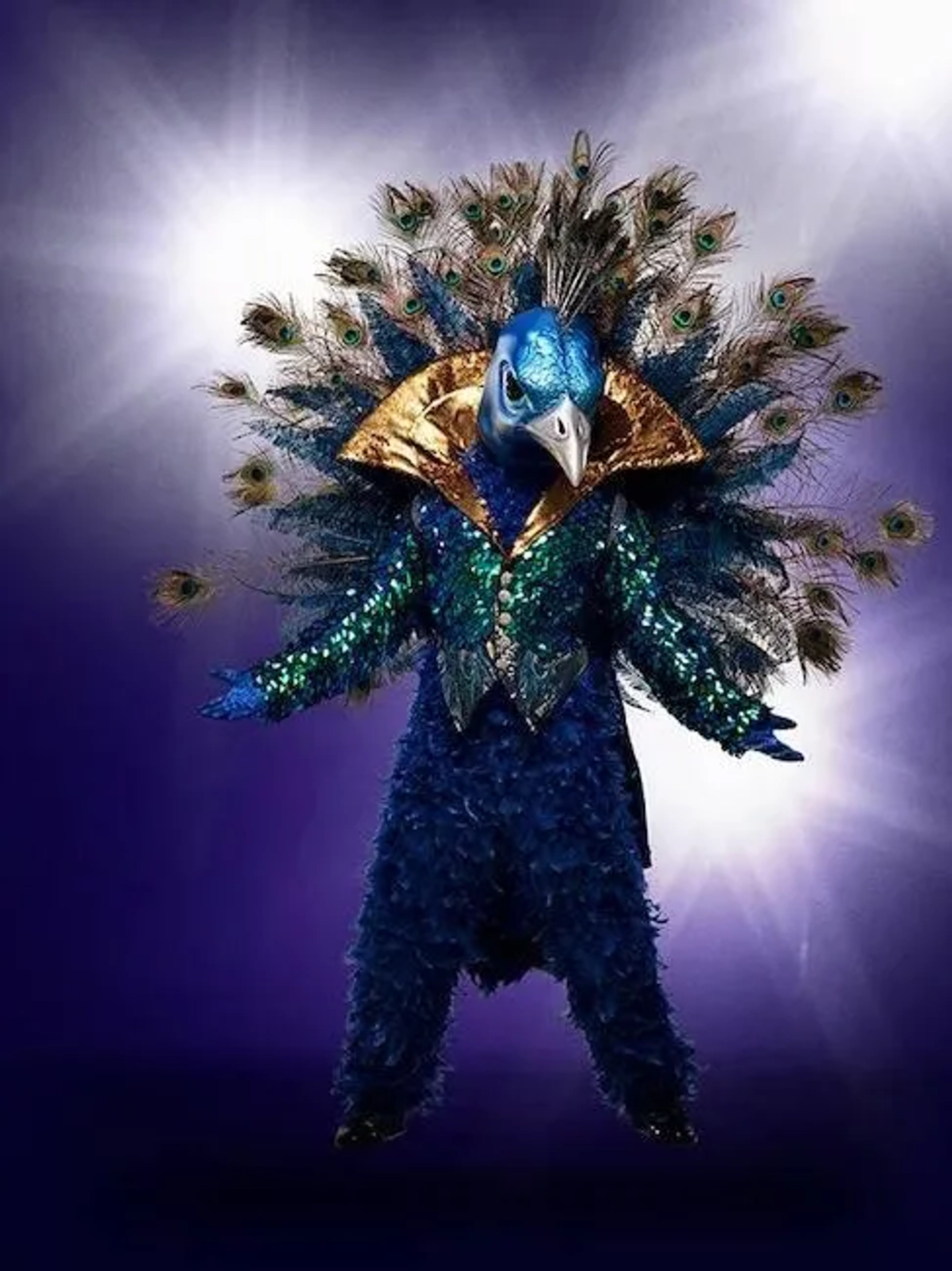 Donny Osmond in The Masked Singer (2019)